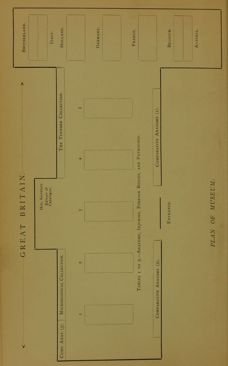 PLAN OF MUSEUM.