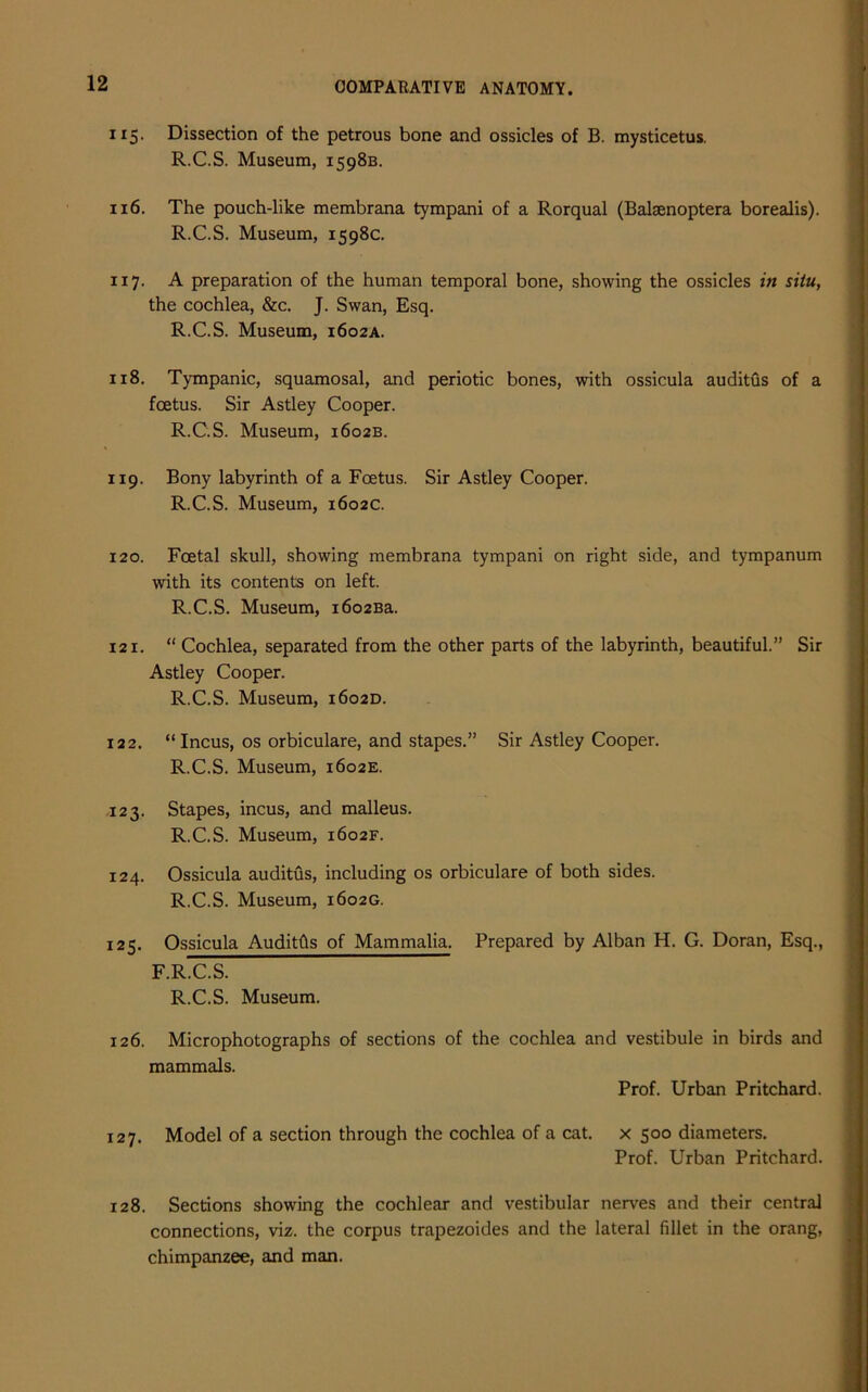 115. Dissection of the petrous bone and ossicles of B. mysticetus. R.C.S. Museum, 1598B. xx6. The pouch-like membrana tympani of a Rorqual (Balsenoptera borealis). R.C.S. Museum, 1598c. 117. A preparation of the human temporal bone, showing the ossicles in situ, the cochlea, &c. J. Swan, Esq. R.C.S. Museum, 1602A. 118. Tympanic, squamosal, and periotic bones, with ossicula auditus of a foetus. Sir Astley Cooper. R.C.S. Museum, 1602B. 119. Bony labyrinth of a Foetus. Sir Astley Cooper. R.C.S. Museum, 1602c. 120. Foetal skull, showing membrana tympani on right side, and tympanum with its contents on left. R.C.S. Museum, i6o2Ba. 121. “ Cochlea, separated from the other parts of the labyrinth, beautiful.” Sir Astley Cooper. R.C.S. Museum, 1602D. 122. “ Incus, os orbiculare, and stapes.” Sir Astley Cooper. R.C.S. Museum, 1602E. 123. Stapes, incus, and malleus. R.C.S. Museum, 1602F. 124. Ossicula auditus, including os orbiculare of both sides. R.C.S. Museum, 1602G. 125. Ossicula Auditfts of Mammalia. Prepared by Alban H. G. Doran, Esq., F.R ~ES. R.C.S. Museum. 126. Microphotographs of sections of the cochlea and vestibule in birds and mammals. Prof. Urban Pritchard. 127. Model of a section through the cochlea of a cat. x 500 diameters. Prof. Urban Pritchard. 128. Sections showing the cochlear and vestibular nerves and their central connections, viz. the corpus trapezoides and the lateral fillet in the orang, chimpanzee, and man.