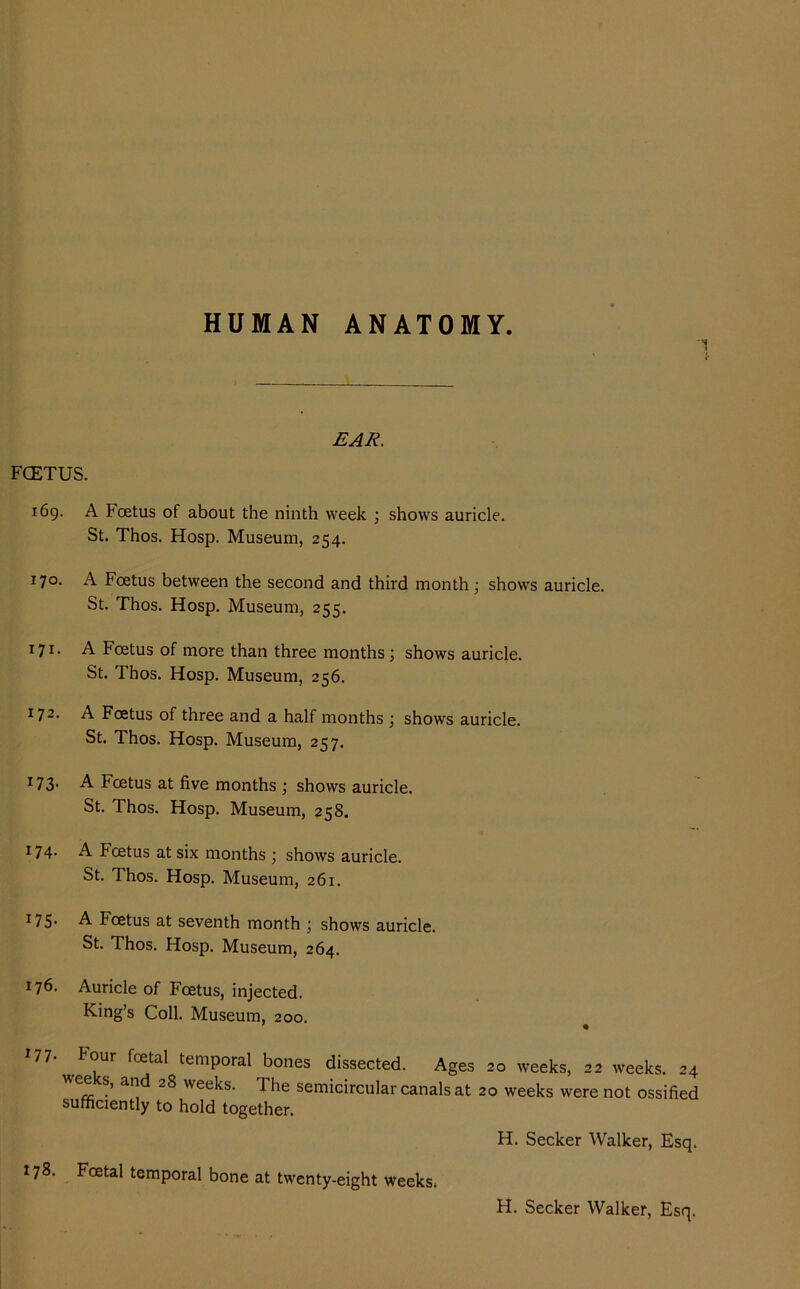 HUMAN ANATOMY. FCETUS. EAR. 169. A Foetus of about the ninth week ; shows auricle. St. Thos. Hosp. Museum, 254. 170. A Foetus between the second and third month; shows auricle. St. Thos. Hosp. Museum, 255. 171. A Foetus of more than three months; shows auricle. St. Thos. Hosp. Museum, 256. 172. A Foetus of three and a half months ; shows auricle. St. Thos. Hosp. Museum, 257. 173- A Foetus at five months ; shows auricle. St. Thos. Hosp. Museum, 258. 174- A Foetus at six months ; shows auricle. St. Thos. Hosp. Museum, 261. I75- A koetus at seventh month ; shows auricle. St. Thos. Hosp. Museum, 264. 176. Auricle of Foetus, injected. King’s Coll. Museum, 200. 177. hour foetal temporal bones dissected. Ages 20 weeks, 22 weeks. 24 e s, and 28 weeks. The semicircular canals at 20 weeks were not ossified sufficiently to hold together. H. Seeker Walker, Esq. 178. Foetal temporal bone at twenty-eight weeks. H. Seeker Walker, Esq.