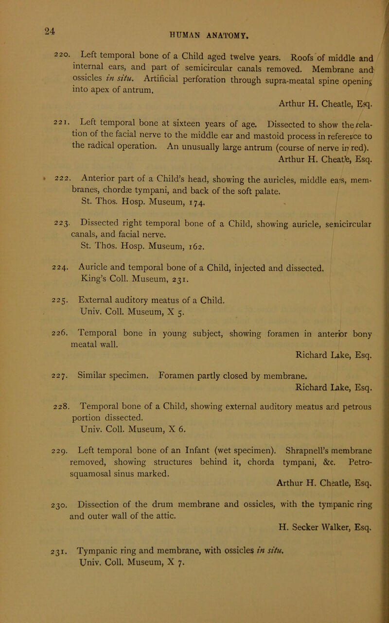 HUMAN ANATOMY. 220. Left temporal bone of a Child aged twelve years. Roofs of middle and internal ears, and part of semicircular canals removed. Membrane and ossicles in situ. Artificial perforation through supra-meatal spine opening into apex of antrum. Arthur H. Cheatle, Esq. 221. Left temporal bone at sixteen years of age. Dissected to show the rela- tion of the facial nerve to the middle ear and mastoid process in referecce to the radical operation. An unusually large antrum (course of nerve in red). Arthur H. Cheatte, Esq. * 222. Anterior part of a Child’s head, showing the auricles, middle ea’S, mem- branes, chordae tympani, and back of the soft palate. St. Thos. Hosp. Museum, 174. 223. Dissected right temporal bone of a Child, showing auricle, semicircular canals, and facial nerve. St. Thos. Hosp. Museum, 162. 224. Auricle and temporal bone of a Child, injected and dissected. King’s Coll. Museum, 231. 225. External auditory meatus of a Child. Univ. Coll. Museum, X 5. 226. Temporal bone in meatal wall. young subject, showing foramen in anterior bony Richard Like, Esq. 227. Similar specimen. Foramen partly closed by membrane. Richard Lake, Esq. 228. Temporal bone of a Child, showing external auditory meatus ar.d petrous portion dissected. Univ. Coll. Museum, X 6. 229. Left temporal bone of an Infant (wet specimen). Shrapnell’s membrane removed, showing structures behind it, chorda tympani, &c. Petro- squamosal sinus marked. Arthur H. Cheatle, Esq. 230. Dissection of the drum membrane and ossicles, with the tympanic ring and outer wall of the attic. H. Seeker Walker, Esq. 231. Tympanic ring and membrane, with ossicles in situ. Univ. Coll. Museum, X 7.