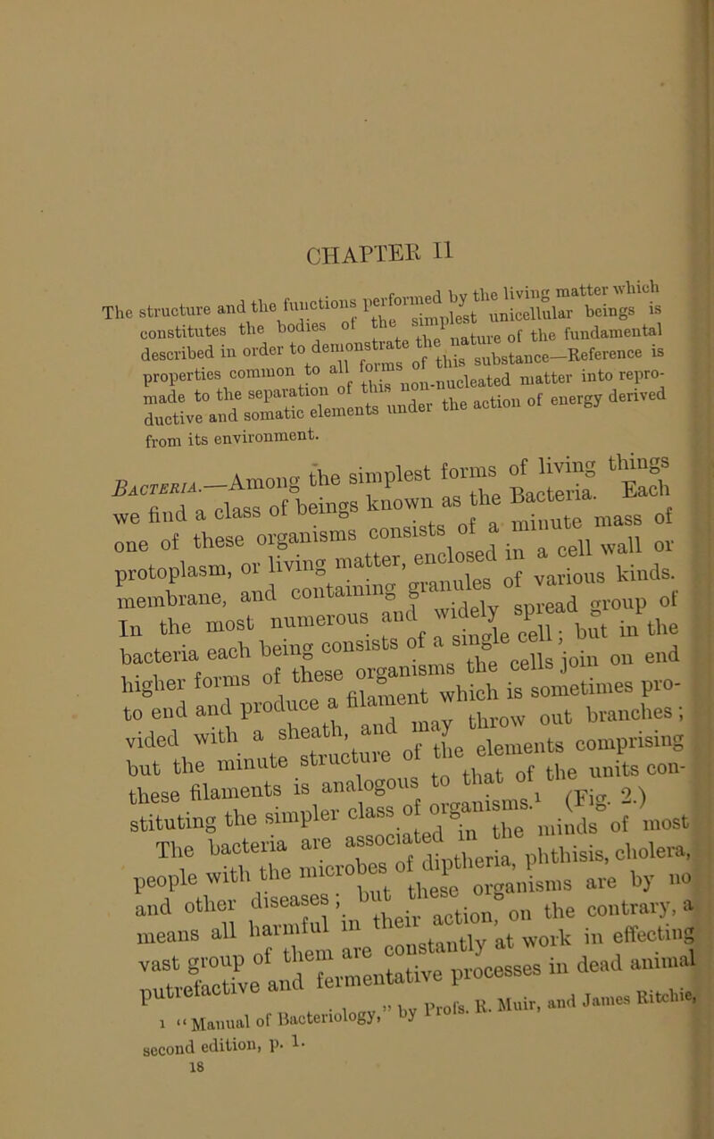 CHAPTER II . r ^\\T flip liviiicc inattcr wliicli ■ The structure and the fuiictions ^inicellular heings is constitutes the bodies o tbe^nature of the fundamental described in order to demonstm ^^i^^tance-Referenee is properties common to all f matter into repro- dimtfald elements under the action of energy derived from its environment. the simplest tones of U™g tMogs find a class of beings known as the Bacte one of these organisms ell wall or protoplasm, or living matter, various kinds. Lnhrane, and containing f° „,,oup of In the most numerous pjt Jthe bacteria each being consists °f “ * cells join on end higher forms of ‘hese org^m n. to cells to end and produce a filanie h^^^^^^ branches; vided with a shea '> an elements comprising but the minute structure of to eleni these filaments is analogous to that oi^t ^ stituting the simpler The bacteria are “^“‘^'f-f^rl Tthisis,cholera, ^7V'‘'te\r b these orgaldsms are by no :lnfS; h»nfnlin «teir »k h“Sn ^ r » t- loffv ” by 1’ro‘s- K. ^Muir, and James Ritchi , 1 <‘Manual of Bacteriology, Y second edition, p. !•