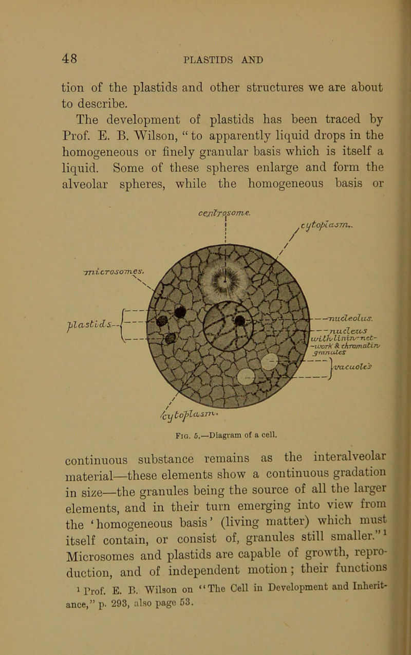 tion of the plastids and other structures we are about to describe. The development of plastids has been traced by Prof. E. B. Wilson, “ to apparently liquid drops in the homogeneous or finely granular basis which is itself a liquid. Some of these spheres enlarge and form the alveolar spheres, while the homogeneous basis or cejitTP^some. I ^ C ^to/KcVSTTU. CLSTt^' jilcistLd-s—I —nnuPleoliLS. nuclc^t^s u/Llhlinvn/~'net- -urork & dmimatin/ granules J-vatuo?* j Fig. 6.—Diagram of a cell. > i f- 1 continuous substance remains as the interalveolar material—these elements show a continuous gradation in size—the granules being the source of all the larger elements, and in their turn emerging into view from the ‘homogeneous basis’ (living matter) which must itself contain, or consist of, granules still smaller. Microsomes and plastids are capable of growth, repro- duction, and of independent motion; their functions 1 Prof. E. B. Wilson on “The Cell in Development and Inherit- ance,” p. 293, also page 63.