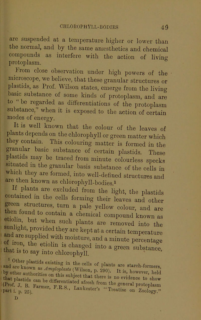 are suspended at a temperature higher or lower than the normal, and by the same antesthetics and chemical compounds as interfere with the action of living protoplasm. irom close observation under high powers of the mici©scope, we believe, that these granular structures or plastids, as Prof. Wilson states, emerge from the living basic substance of some kinds of protoplasm, and are to “be regarded as differentiations of the protoplasm substance,” when it is exposed to the action of certain modes of energy. It is well known that the colour of the leaves of plants depends on the chlorophyll or green matter which they contain. This colouring matter is formed in the granular basic substance of eertain plastids. These plastids may be traced from minute colourless specks sit^uated in the granular basis substance of the cells in which they are formed, into well-defined structures and are then known as chlorophyll-bodies.^ If plaute are excluded from the light, the plastids contained m the cells forming their leaves and other peon structures, turn a pale yellow colour, and are en found to contain a chemical compound known as etiolin but when such plants are removed into the mlight, provided they are kept at a certain temperature of iron The'’ f pementage tLt is toTa “ sreen substance, tnat IS to say into chlorophyll. Pwti. p. 25). “Treatise on Zoology.” D