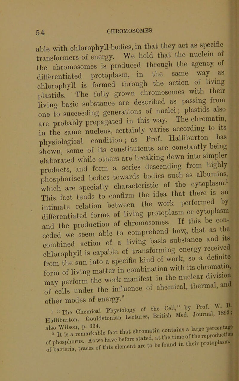able with chlorophyll-bodies, in that they act as specific transformers of energy. We hold that the nuclein of the chromosomes is produced through the agency of differentiated protoplasm, in the same way as chlorophyll is formed through the action of living plastids. The fully grown chromosomes with their livino' basic substance are described as passing from one to succeeding generations of nuclei; plastids a so are probably propagated in this way. The chromatin, in the same nucleus, certainly varies according to its physiological condition; as Prof. Halliburton has shown, some of its constitutents are constantly being elaborated while others are breaking down into simpler products, and form a series descending froin highly phosphorised bodies towards bodies such as albumins, which are specially characteristic of the cytoplasm. This fact tends to confirm the idea that there is an intimate relation between the woi^ differentiated forms of living protoplasm or cy oplasm and the production of chromosomes. If this be co ceded we seem able to comprehend hmy, ^bat as the combined action of a living basis substance and its chlorophyll is capable of transforming energy ’■■ecel^ed from the sun into a specific kind of work, so a defim form of living matter in combination with its chromaffn, X plLm the wovk manifest in the nuclear d.ns.o. of cells under the influence of cheimcal, theiina, an other modes of energy.^ 1 “The Chemical Physiology of ^ Halliburton. Gouldstonian Lectures, British Med. Journal, also Wilson, p. 334 chromatin contains a large percentage 2 It is a remarkable fact that cniomaui Hme of the reproduction