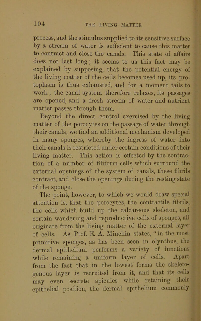 THE LIVING MATTER process, and the stimulus supplied to its sensitive surface by a stream of water is sufficient to cause this matter to contract and close the canals. This state of affairs does not last long; it seems to us this fact may be explained by supposing, that the potential energy of the living matter of the cells becomes used up, its pro- toplasm is thus exhausted, and for a moment fails to work ; the canal system therefore relaxes, its passages are opened, and a fresh stream of water and nutrient matter passes through them. Beyond the direct control exercised by the living matter of the porocytes on the passage of water through their canals, we find an additional mechanism developed in many sponges, whereby the ingress of water into their canals is restricted under certain conditions of their living matter. This action is effected by the contrac- tion of a number of filiform cells which surround the external openings of the system of canals, these fibrils contract, and close the openings during the resting state of the sponge. The point, however, to which we would draw special attention is, that the porocytes, the contractile fibrils, the cells which build up the calcareous skeleton, and certain wandering and reproductive cells of sponges, all originate from the living matter of the external layer of cells. As Prof. E. A. Minchiu states, “ in the most primitive sponges, as has been seen in olynthus, the dermal epithelium performs a variety of functions while remaining a uniform layer of cells. Apart from the fact that in the lowest forms the skeleto- genous layer is recruited from it, and that its cells may even secrete spicules while retaining their epithelial position, the dermal epithelium commonly