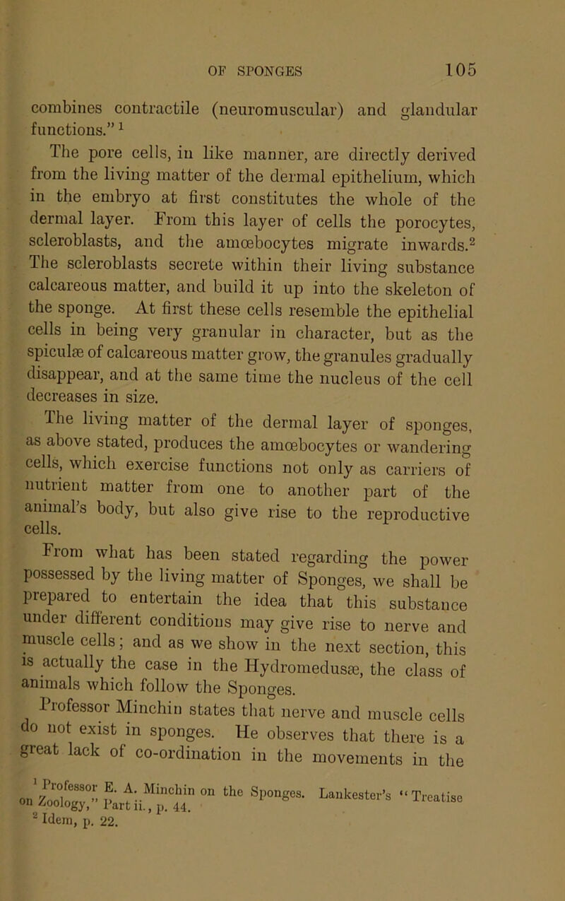 combines contractile (neuromuscular) and glandular functions.” ^ The pore cells, in like manner, are directly derived from the living matter of the dermal epithelium, which in the embryo at first constitutes the whole of the dermal layer. From this layer of cells the porocytes, scleroblasts, and tlie amoebocytes migrate inwards.^ The scleroblasts secrete within their living substance calcareous matter, and build it up into the skeleton of the sponge. At first these cells resemble the epithelial cells in being very granular in character, but as the spiculse of calcareous matter grow, the granules gradually disappear, and at the same time the nucleus of the cell decreases in size. The living matter of the dermal layer of sponges, as above stated, produces the amoebocytes or wandering cells, which exercise functions not only as carriers of nutrient matter from one to another part of the animals body, but also give rise to the reproductive cells. From what has been stated regarding the power possessed by the living matter of Sponges, we shall be prepared to entertain the idea that this substance under difierent conditions may give rise to nerve and muscle cells; and as we show in the next section, this IS actually the case in the Hydromeduste, the class of animals which follow the Sponges. Professor Minchin states that nerve and muscle cells do not exist in sponges. He observes that there is a great lack of co-ordination in the movements in the of zXTbtrtu“ir«” “T^ti.0 ^ Idem, p. 22.