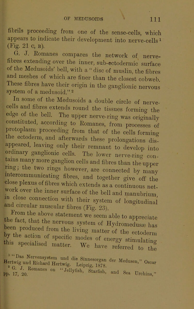 fibrils proceeding from one of the sense-cells, which appears to indicate their development into nerve-cells ^ (Fig. 21 c, B). G. J. Eomanes compares the network of nerve- fibres extending over the inner, sub-ectodermic surface of the Medusoids’ bell, with a “ disc of muslin, the fibres and meshes of which are finer than the closest cobweb. These fibres have their origin in the ganglionic nervous system of a medusoid.” ^ In some of tlie Medusoids a double circle of nerve- cells and fibres extends round the tissues forming the edge of the bell. The upper nerve-ring was originally constituted, according to Eomanes, from processes of protoplasm proceeding from that of the cells forming the ectoderm, and afterwards these prolongations dis- appeared, leaving only their remnant to develop into ordinary ganglionic cells. The lower nerve-rincr con- tains many more ganglion cells and fibres than the\pper ring; the two rings however, are connected by many intereommumcating fibres, and together give off the close plexus of fibres which extends as a continuous net- work over the inner surface of the bell and manubrium in close connection with their system of longitudinal and circular muscular fibres (Fig. 23). thJfcrt ''tr aWe to appreciate the fact, that the nervous system of Hydromeduste lias en produced from the living matter of the ectoderm y the action of specific modes of energy stimulatine this specialised matter. We have refaned to thf Oscar * G. J. Romanes PI'- 17, 20. Hertwig. Leipzig, 1878. on Jellyfish, Starfish, and Sea Urchins,”