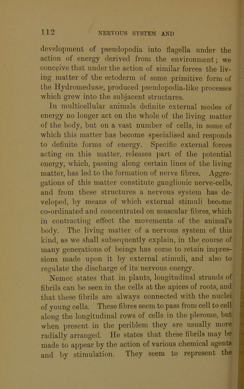development of pseudopodia into flagella under the action of energy derived from the environment; we conceive that under the action of similar forces the liv- ing matter of the ectoderm of some primitive form of the Hydromedusse, produced pseudopodia-like processes which grew into the subjacent structures. In multicellular animals definite external modes of energy no longer act on the whole of the living matter of the body, but on a vast number of cells, in some of which this matter has become specialised and responds to definite forms of energy. Specific external forces acting on this matter, releases part of the potential energy, which, passing along certain lines of the living matter, has led to the formation of nerve fibres. Aggre- gations of this matter constitute ganglionic nerve-cells, and from these structures a nervous system has de- veloped, by means of which external stimuli become co-ordinated and concentrated on muscular fibres, which in contracting effect the movements of the animal’s body. The living matter of a nervous system of this kind, as we shall subsequently explain, in the course of many generations of beings has come to retain impres- sions made upon it by external stimuli, and also to regulate the discharge of its nervous energy. Nemec states that in plants, longitudinal strands of fibrils can be seen in the cells at the apices of roots, and that these fibrils are always connected with the nuclei of young cells. These fibres seem to pass from cell to cell along the longitudinal rows of cells in the plerome, but when present in the periblem they are usually more radially arranged. He states that these fibrils may be made to appear by the action of various chemical agents and by stimulation. They seem to represent the
