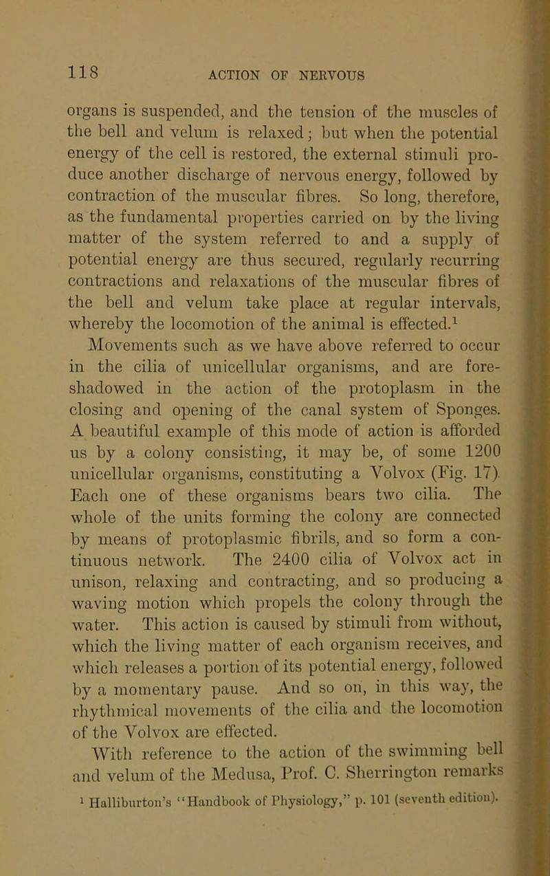 organs is suspended, and the tension of the muscles of the bell and velum is relaxed; but when the potential energy of the cell is restored, the external stimuli pro- duce another discharge of nervous energy, followed by contraction of the muscular fibres. So long, therefore, as the fundamental pi'operties carried on by the living matter of the system referred to and a supply of potential energy are thus secured, regularly recurring contractions and relaxations of the muscular fibres of the bell and velum take place at regular intervals, whereby the locomotion of the animal is eff'ected.’^ Movements such as we have above referred to occur in the cilia of unicellular organisms, and are fore- shadowed in the action of the protoplasm in the closing and opening of the canal system of Sponges. A beautiful example of this mode of action is afforded us by a colony consisting, it may be, of some 1200 unicellular organisms, constituting a Volvox (Fig. 17). Each one of these organisms bears two cilia. The whole of the units forming the colony are connected by means of protoplasmic fibrils, and so form a con- tinuous network. The 2400 cilia of Volvox act in unison, relaxing and contracting, and so producing a waving motion which propels the colony through the water. This action is caused by stimuli from without, which the living matter of each organism receives, and which releases a poi'tion of its potential energy, followed by a momentary pause. And so on, in this way, the rhythmical movements of the cilia and the locomotion of the Volvox are effected. With reference to the action of the swimming bell and velum of the Medusa, Pi’of. C. Sherrington remarks 1 Halliburton’s “Handbook of Physiology,” p. 101 (seventh edition).
