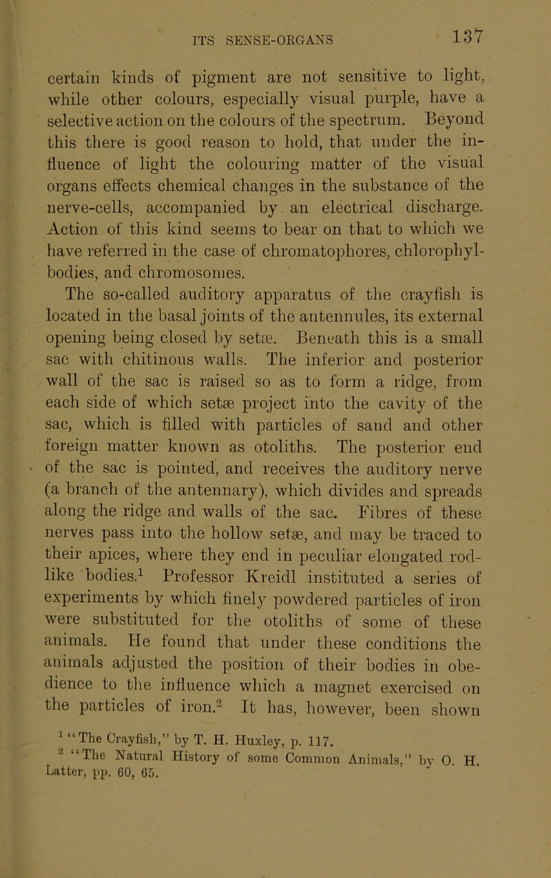 certain kinds of pigment are not sensitive to light, while other colours, especially visual purple, have a selective action on the colours of the spectrum. Beyond this there is good reason to hold, that under the in- fluence of light the colouring matter of the visual organs effects chemical changes in the substance of the nerve-cells, accompanied by an electrical discharge. Action of tins kind seems to bear on that to which we liave referred in the case of chromatophores, chlorophyl- bodies, and chromosomes. The so-called auditory apparatus of the crayfish is located in the basal joints of the antennules, its external opening being closed by setae. Beneath this is a small sac with chitinous walls. The inferior and posterior wall of the sac is raised so as to form a ridge, from each side of which setae project into the cavity of the sac, which is filled with particles of sand and other foreign matter known as otoliths. The posterior end of the sac is pointed, and receives the auditory nerve (a branch of the antennary), which divides and spreads along the ridge and walls of the sac. Fibres of these nerves pass into the hollow setae, and may be traced to their apices, where they end in peculiar elongated rod- like bodies.^ Professor Kreidl instituted a series of experiments by which finel} powdered particles of iron were substituted for the otoliths of some of these animals. He found that under these conditions the animals adjusted the position of their bodies in obe- dience to the influence which a magnet exercised on the particles of iron.^ It has, however, been shown ^ “The Crayfish,” by T. H. Huxley, p. 117. ^ “The Natural History of some Common Animals,” by 0. H. Latter, pp. 60, 65.