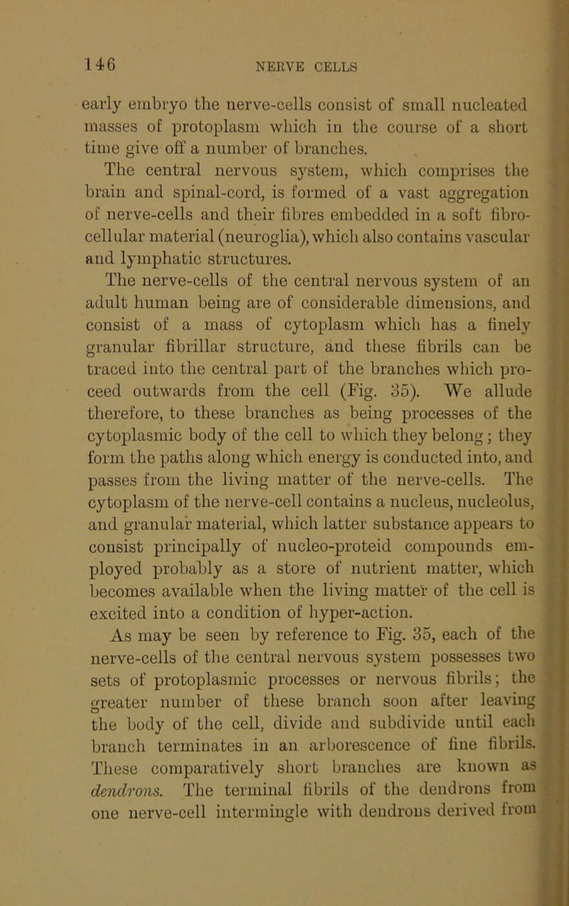 early embryo the nerve-cells consist of small nucleated masses of protoplasm which in the course of a short time give off a number of branches. The central nervous system, which comprises the brain and spinal-cord, is formed of a vast aggregation of nerve-cells and their fibres embedded in a soft fibro- cellular material (neuroglia), which also contains vascular and lymphatic structures. The nerve-cells of the central nervous system of an adult human being are of considerable dimensions, and consist of a mass of cytoplasm which has a finely granular fibrillar structure, and these fibrils can be traced into the central part of the branches which pro- ceed outwards from the cell (Fig. 35). We allude therefore, to these branches as being processes of the cytoplasmic body of the cell to which they belong; they form the paths along which energy is conducted into, and passes from the living matter of the nerve-cells. The cytoplasm of the nerve-cell contains a nucleus, nucleolus, and granular material, which latter substance appears to consist principally of nucleo-proteid compounds em- ployed probably as a store of nutrient matter, which becomes available when the living matter of the cell is excited into a condition of hyper-action. As may be seen by reference to Fig. 35, each of the nerve-cells of the central nervous system possesses two sets of protoplasmic processes or nervous fibrils; the greater number of these branch soon after leaving the body of the cell, divide and subdivide until each branch terminates in an arborescence of fine fibrils. These comparatively short branches are known as dendrons. The terminal fibrils of the dendrons from one nerve-cell intermingle with dendrons derived from },