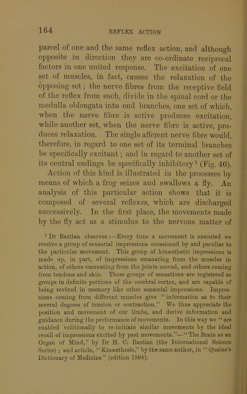 parcel of one and the same reflex action, and although opposite in direction they are co-ordinate reciprocal factors in one united response. The excitation of one set of muscles, in fact, causes the relaxation of the opposing set; the nerve fibres from the receptive field of the reflex from each, divide in the spinal cord or the medulla oblongata into end branches, one set of which, when the nerve fibre is active produces excitation, while another set, when the nerve fibre is active, pro- duces relaxation. The single afferent nerve fibre would, therefore, in regard to one set of its terminal brandies be specifically excitant; and in regard to another set of its central endings be specifically inhibitory ^ (Fig. 40). Action of this kind is illustrated in the processes by means of which a frog seizes and swallows a fly. An analysis of this particular action shows that it is composed of several reflexes, which are discharged successively. In the first place, the movements made by the fly act as a stimulus to the nervous matter of ^ Dr Bastian observes :—Every time a movement is executed we receive a group of sensorial impressions occasioned by and peculiar to the particular movement. This group of kincesthetic impressions is made up, in part, of impressions emanating from the muscles in action, of others emanating from the joints moved, and others coming from tendons and skin. These groups of sensations are registered as groups in definite portions of the cerebral cortex, and are capable of being revived in memory like other sensorial impressions. Impres- sions coming from different muscles give “information as to their several degrees of tension or contraction.” We thus appreciate the position and movement of our limbs, and derive information and guidance during the performance of movements. In this way we “are enabled volitionally to re-initiate similar movements by the ideal recall of impressions excited by past movements.”—“The Brain as an Organ of Mind,” by Dr H. C. Bastian (the International Science Series) ; and article, “ Kinoesthesis,” by the same author, in “ Quaine’s Dictiouary of Medicine ” (edition 1894).