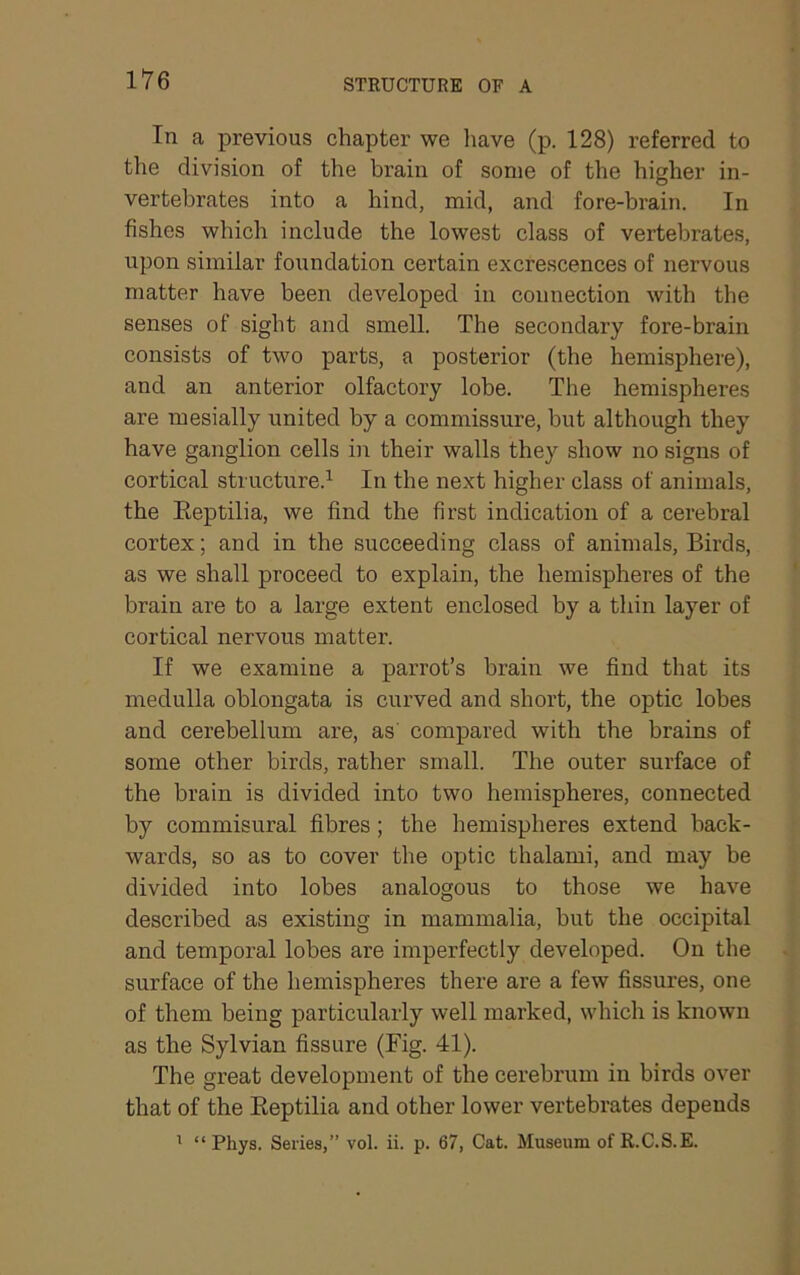 In a previous chapter we liave (p. 128) referred to the division of the brain of some of the higher in- vertebrates into a hind, mid, and fore-brain. In fishes which include the lowest class of vertebrates, upon similar foundation certain excrescences of nervous matter have been developed in connection with the senses of sight and smell. The secondary fore-brain consists of two parts, a posterior (the hemisphere), and an anterior olfactory lobe. The hemispheres are mesially united by a commissure, but although they have ganglion cells in their walls they show no signs of cortical structure.^ In the next higher class of animals, the Eeptilia, we find the first indication of a cerebral cortex; and in the succeeding class of animals. Birds, as we shall proceed to explain, the hemispheres of the brain are to a large extent enclosed by a thin layer of cortical nervous matter. If we examine a parrot’s brain we find that its medulla oblongata is curved and short, the optic lobes and cerebellum are, as' compared with the brains of some other birds, rather small. The outer surface of the brain is divided into two hemispheres, connected by commisural fibres; the hemispheres extend hack- wards, so as to cover the optic thalami, and may be divided into lobes analogous to those we have described as existing in mammalia, but the occipital and temporal lobes are imperfectly developed. On the surface of the hemispheres there are a few fissures, one of them being particularly well marked, which is known as the Sylvian fissure (Fig. 41). The great development of the cerebrum in birds over that of the Eeptilia and other lower vertebrates depends ' “ Phys. Series,” vol. ii. p. 67, Cat. Museum of R.C.S.E.