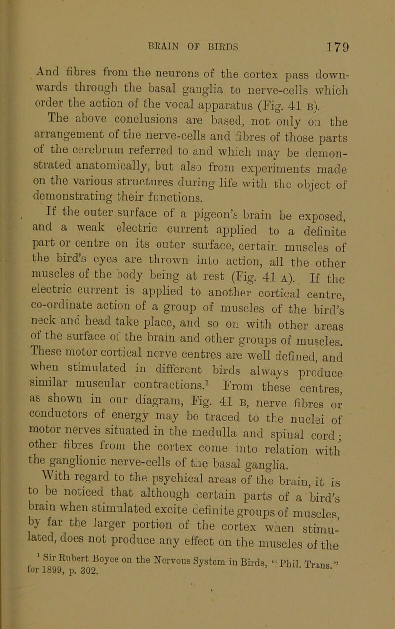 And fibres from the neurons of the cortex pass down- wards through the basal ganglia to nerve-cells which order the action of the vocal apparatus (Fig. 41 b). The above conclusions are based, not only on the arrangement of the nerve-cells and fibres of those parts of the cerebrum referred to and which may be demon- strated anatomically, but also from experiments made on the various structures during life with the object of demonstrating their functions. If the outer .surface of a pigeon’s brain be exposed, and a weak electric current applied to a definite pait 01 centre on its outer surface, certain muscles of the bird’s eyes are thrown into action, all the other muscles of the body being at rest (Fig. 41 a). If the electric current is applied to another cortical centre, co-ordinate action of a group of muscles of the bird’s neck and head take place, and so on with other areas of the surface of the brain and other groups of muscles. These motor cortical nerve centres are well defined, and when stimulated in different birds always produce similar muscular contractions.^ From these centres, as shown in our diagram. Fig. 41 b, nerve fibres or conductors of energy may be traced to the nuclei of motor nerves situated in the medulla and spinal cord; other fibres from the cortex come into relation with the ganglionic nerve-cells of the basal ganglia. With regard to the psychical areas of the brain, it is to be noticed that although certain parts of a bird’s brain when stimulated excite definite groups of muscles, by far the larger portion of the cortex when stimu- lated, does not produce any effect on the muscles of the ^ Sir Hubert Boyce on the Nervous System in Birds for 1899, p. 302. ’ “ Phil. Trans.”