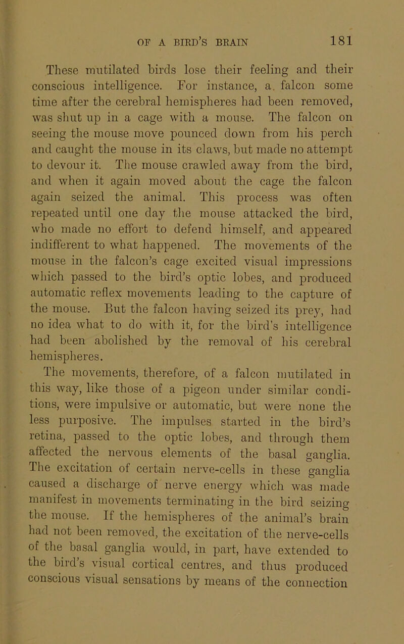 These iriutilatecl birds lose their feeling and their conscious intelligence. For instance, a. falcon some time after the cerebral hemispheres had been removed, was shut up in a cage with a mouse. The falcon on seeing the mouse move pounced down from his perch and caught the mouse in its claws, but made no attempt to devour it. The mouse crawled away from the bird, and when it again moved about the cage the falcon again seized the animal. This process was often repeated until one day the mouse attacked the bird, who made no effort to defend himself, and appeared indifferent to what happened. The movements of the mouse in the falcon’s cage excited visual impressions which passed to the bird’s optic lobes, and produced automatic reflex movements leading to the capture of the mouse. But the falcon having seized its prey, had no idea what to do with it, for the bird’s intelligence had been abolished by the removal of his cerebral hemispheres. The movements, therefore, of a falcon mutilated in this way, like those of a pigeon under similar condi- tions, were impulsive or automatic, but were none the less purposive. The impulses started in the bird’s retina, passed to the optic lobes, and through them affected the nervous elements of the basal ganglia. The excitation of certain nerve-cells in these ganfrlia caused a discharge of nerve energy which was made manifest in movements terminating in the bird seizing the mouse. If the hemispheres of the animal’s brain had not been removed, the excitation of the nerve-cells of the basal ganglia would, in part, have extended to the bird’s visual cortical centres, and thus produced conscious visual sensations by means of the connection