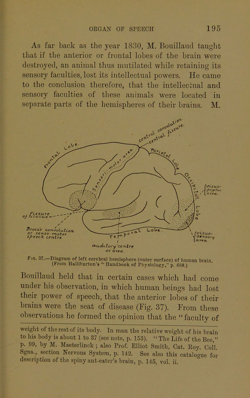 As far back as the year 1830, M. Bouillaxid tauglit that if the anterior or frontal lobes of the brain were destroyed, an animal thus mutilated while retaining its sensory faculties, lost its intellectual powers. He came to the conelusion therefore, that the intellectual and sensory faculties of these animals were located in separate parts of the hemispheres of their brains. M. Fio. 37.—Diagram of left cerebral liemispliere (outer surface) of human brain (From Halliburton’s “ Handbook of Phj’siology, p. G88.) Bouillaud held that in certain cases which had come under his observation, in which human beings had lost their power of speech, that the anterior lobes of their brains were the seat of disease (Big. 37). From these observations he formed the opinion that the “ faculty of weight of the rest of its body. In man the relative weight of his brain to his body is about 1 to 37 (see note, p. 153). “The Life of the Bee,” p. 99, by M. Maeterlinck ; also Prof. Elliot Smith, Cat. Roy. Coll Sgns., section Nervous System, p. 142. See also this catalogue for description of the spiny ant-eater’s brain, p. 145, vol. ii.