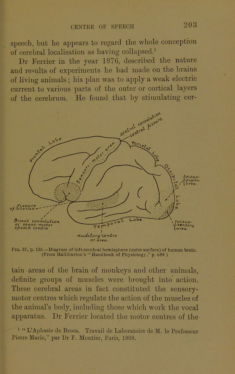speech, but he appears to regard the whole conception of cerebral localisation as having collapsed.^ Dr Ferrier in the year 1876, described the nature and I’e^ults of experiments he liad made on the brains of living animals ; his plan was to apply a weak electric current to various parts of the outer or cortical layers of the cerebrum. He found that by stimulating cer- Fio. 37, p. 155.—Diagram of left cerebral hemisphere (outer surface) of human brain. (From Halliburton’s “Handbook of Physiology,”p. b88 ) tain areas of the brain of monkeys and other animals, definite groups of muscles were brought into action. These cerebral areas in fact constituted the sensory- motor centres which regulate the action of the muscles of the animal’s body, including those which work the vocal apparatus. Dr Ferrier located the motor centres of the ^ “ L’Apliasie de Broca. Travail dc Laboratoire de M. le Professciir Pierre Marie,” par Dr F. Moutier, Paris, 1908. k fi/tsuo- \l‘S€nsori^ (o-reo. fi/iSu.0- ■fjs^chie area.