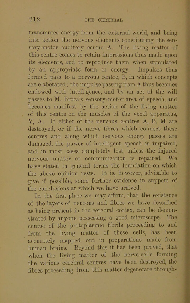 transmutes energy from tlie external world, and bring into action the nervous elements constituting the sen- sory-motor auditory centre A. The living matter of this centre conies to retain impressions thus made upon its elements, and to reproduce them when stimulated by an appropriate form of energy. Impulses thus formed pass to a nervous centre, B, in whicli concepts are elaborated; the impulse passing from A thus becomes < endowed with intelligence, and by an act of the will \ passes to M. Broca’s sensory-motor area of speech, and | becomes manifest by the action of the living matter of this centre on the muscles of the vocal apparatus, | V, A. If either of the nervous centres A, B, M are | destroyed, or if the nerve fibres which connect these centres and along which nervous energy passes are damaged, the power of intelligent speech is impaired, and in most cases completely lost, unless the injured ; nervous matter or communication is repaired. We 4 have stated in general terms the foundation on which ?■ the above opinion rests. It is, however, advisable to | give if possible, some further evidence in support of | the conclusions at which we have arrived. | In the first place we may affirm, that the existence of the layers of neurons and fibres we have described as being present in the cerebral cortex, can be demon- strated by anyone possessing a good microscope. The course of the protoplasmic fibrils proceeding to and from the living matter of these cells, has been accurately mapped out in preparations made from human bi’ains. Beyond this it has been proved, that when the living matter of the nerve-cells forming the various cerebral centres have been destroyed, the fibres proceeding from this matter degenerate through-