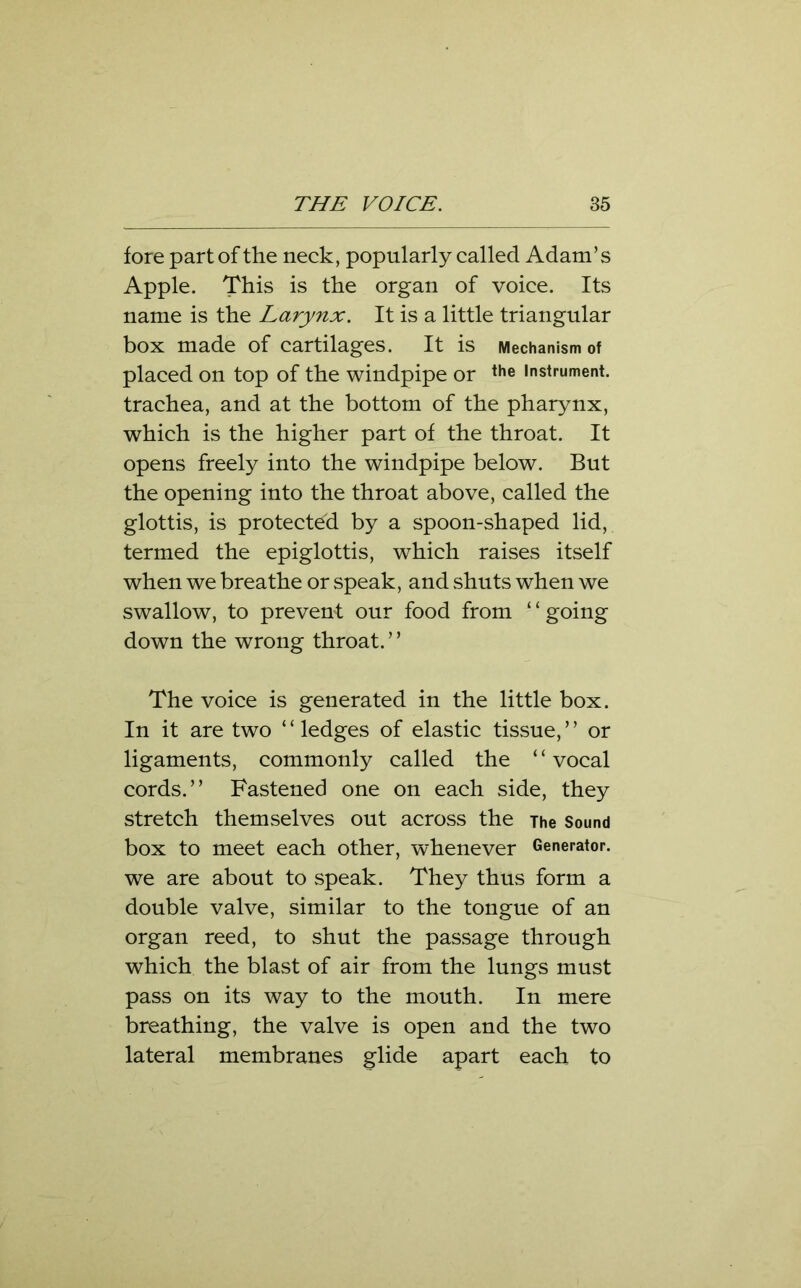 fore part of the neck, popularly called Adam’s Apple. This is the organ of voice. Its name is the Larynx. It is a little triangular box made of cartilages. It is Mechanism of placed on top of the windpipe or the instrument, trachea, and at the bottom of the pharynx, which is the higher part of the throat. It opens freely into the windpipe below. But the opening into the throat above, called the glottis, is protected by a spoon-shaped lid, termed the epiglottis, which raises itself when we breathe or speak, and shuts when we swallow, to prevent our food from ‘ ‘ going down the wrong throat. ’ ’ The voice is generated in the little box. In it are two ‘ ‘ ledges of elastic tissue, ’ ’ or ligaments, commonly called the ‘ ‘ vocal cords.” Fastened one on each side, they stretch themselves out across the The Sound box to meet each other, whenever Generator, we are about to speak. They thus form a double valve, similar to the tongue of an organ reed, to shut the passage through which the blast of air from the lungs must pass on its way to the mouth. In mere breathing, the valve is open and the two lateral membranes glide apart each to