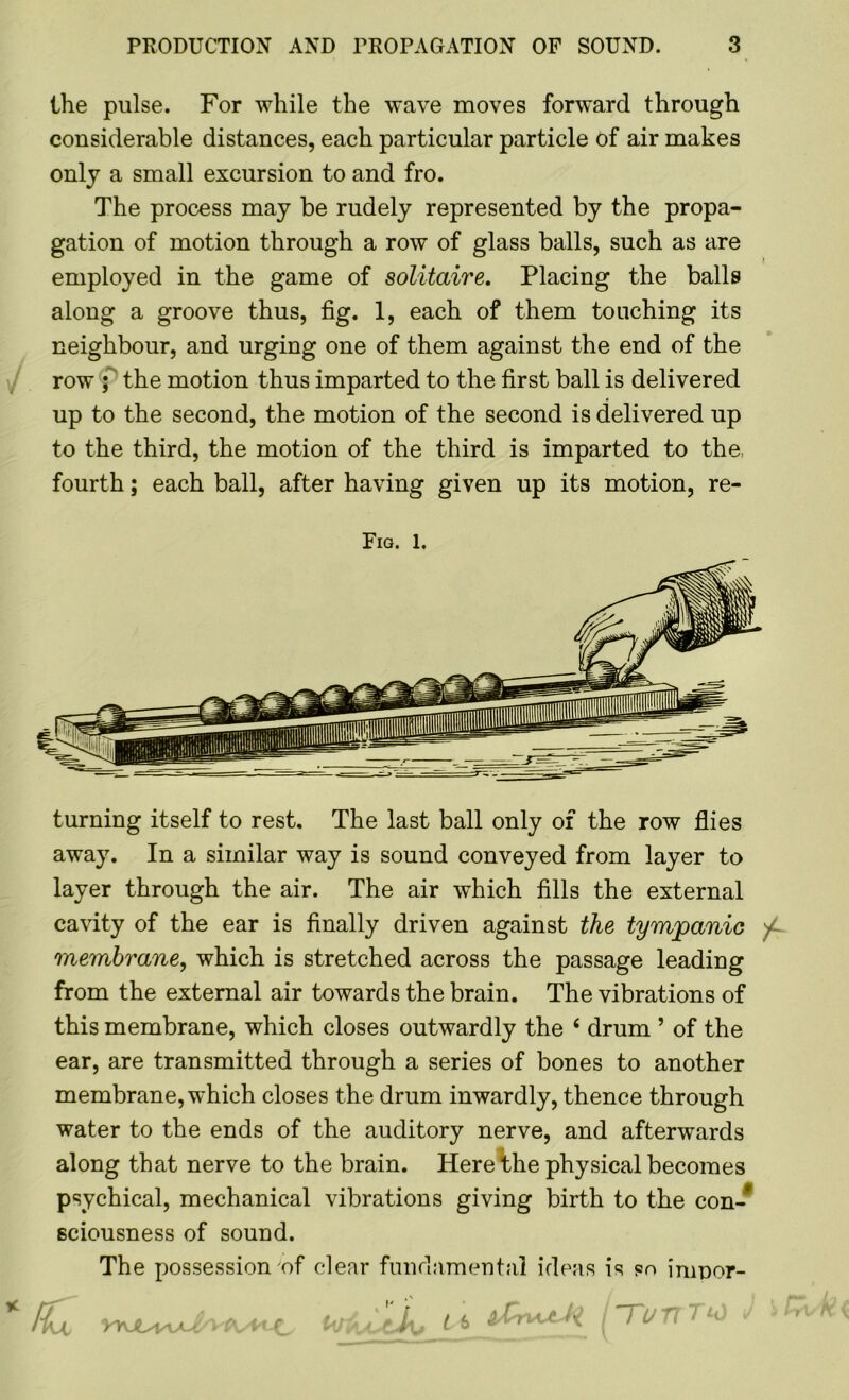 the pulse. For while the wave moves forward through considerable distances, each particular particle of air makes only a small excursion to and fro. The process may be rudely represented by the propa- gation of motion through a row of glass balls, such as are employed in the game of solitaire. Placing the balls along a groove thus, fig. 1, each of them touching its neighbour, and urging one of them against the end of the row ; the motion thus imparted to the first ball is delivered up to the second, the motion of the second is delivered up to the third, the motion of the third is imparted to the fourth; each ball, after having given up its motion, re- Fig. l. turning itself to rest. The last ball only of the row flies away. In a similar way is sound conveyed from layer to layer through the air. The air which fills the external cavity of the ear is finally driven against the tympanic membrane, which is stretched across the passage leading from the external air towards the brain. The vibrations of this membrane, which closes outwardly the 4 drum ’ of the ear, are transmitted through a series of bones to another membrane, which closes the drum inwardly, thence through water to the ends of the auditory nerve, and afterwards along that nerve to the brain. Here the physical becomes psychical, mechanical vibrations giving birth to the con-* sciousness of sound. The possession of clear fundamental ideas is so minor- fkt uriuut^. U HynT^ J
