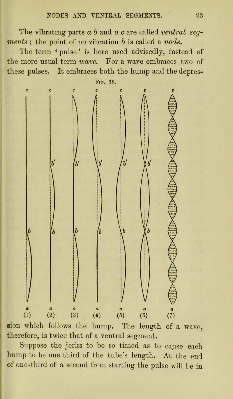 The vibrating parts a b and o c are called ventral seg- ments ; the point of no vibration b is called a node. The term 4 pulse ’ is here used advisedly, instead of the more usual term leave. For a wave embraces two of these pulses. It embraces both the hump and the depres- sion which follows the hump. The length of a wave, therefore, is twice that of a ventral segment. Suppose the jerks to be so timed as to cause each hump to be one third of the tube’s length. At the end of one-third of a second from starting the pulse will be in