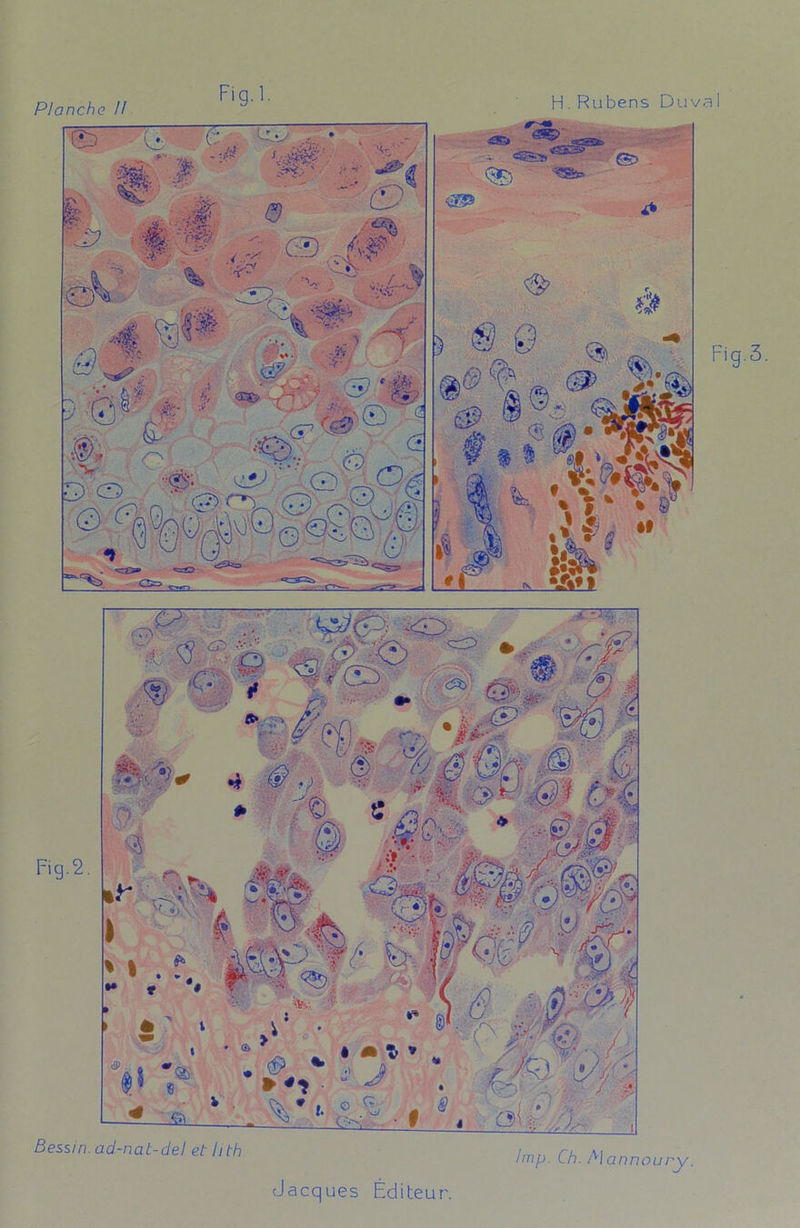 ■* “ ^ 1 ■ E g ^ .y //r J Bessin.ad-nat-del et hth Ch.Maimoury.