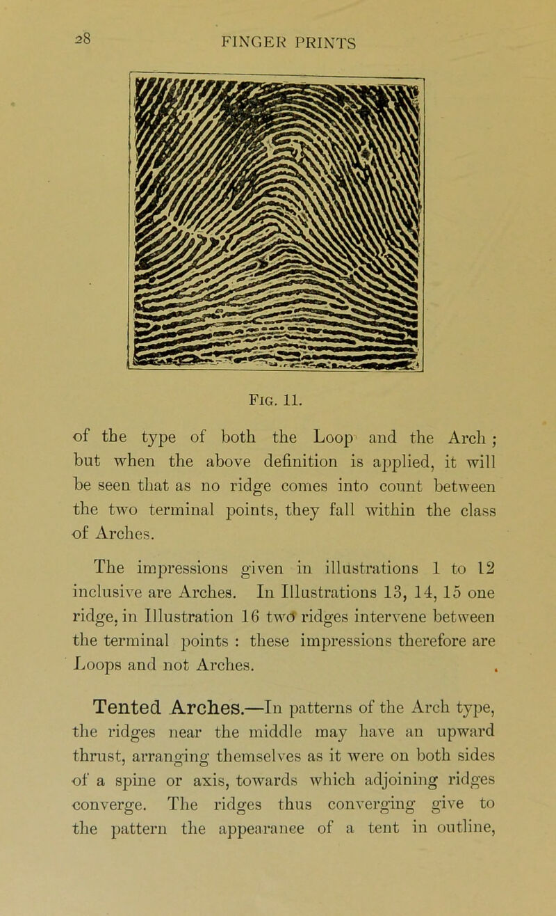 Fig. 11. of the type of both the Loop and the Arch; but when the above definition is applied, it will be seen that as no ridge comes into count between the two terminal points, they fall within the class of Arches. The impressions given in illustrations 1 to 12 inclusive are Arches. In Illustrations 13, 14, 15 one ridge, in Illustration 16 two ridges intervene between the terminal points : these impressions therefore are Loops and not Arches. Tented. Arches.—In patterns of the Arch type, the ridges near the middle may have an upward thrust, arranging themselves as it were on both sides of a spine or axis, towards which adjoining ridges converge. The ridges thus converging give to the pattern the appearance of a tent in outline,