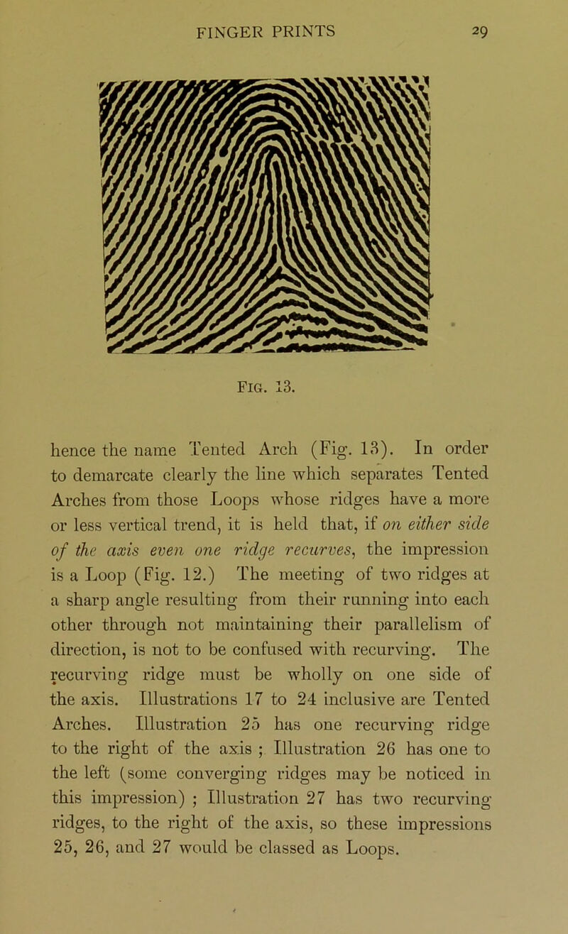 Fig. 13. hence the name Tented Arch (Fig. 13). In order to demarcate clearly the line which separates Tented Arches from those Loops whose ridges have a more or less vertical trend, it is held that, if on either side of the axis even one ridge recurves, the impression is a Loop (Fig. 12.) The meeting of two ridges at a sharp angle resulting from their running into each other through not maintaining their parallelism of direction, is not to be confused with recurving. The recurving ridge must be wholly on one side of the axis. Illustrations 17 to 24 inclusive are Tented Arches. Illustration 25 has one recurving ridge to the right of the axis ; Illustration 26 has one to the left (some converging ridges may be noticed in this impression) ; Illustration 27 has two recurving ridges, to the right of the axis, so these impressions 25, 26, and 27 would be classed as Loops.