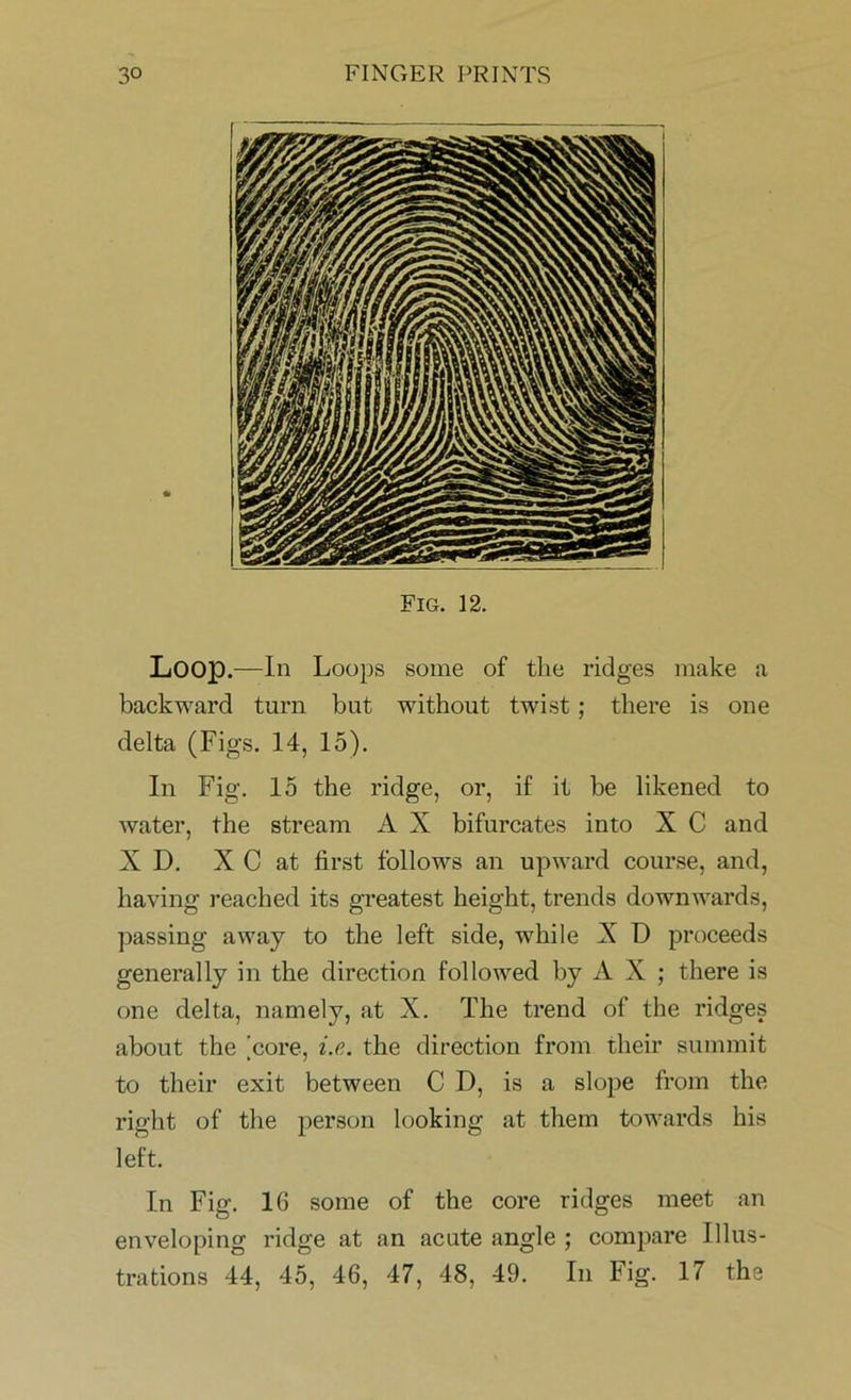 Fig. 12. Loop.—In Loops some of the ridges make a backward turn but without twist; there is one delta (Figs. 14, 15). In Fig. 15 the ridge, or, if it be likened to water, the stream A X bifurcates into X C and X D. X C at first follows an upward course, and, having reached its greatest height, trends downwards, passing away to the left side, while X D proceeds generally in the direction followed by A X ; there is one delta, namely, at X. The trend of the ridges about the [core, i.e. the direction from their summit to their exit between CD, is a slope from the right of the person looking at them towards his left. In Fig. 16 some of the core ridges meet an enveloping ridge at an acute angle ; compare Illus- trations 44, 45, 46, 47, 48, 49. In Fig. 17 the