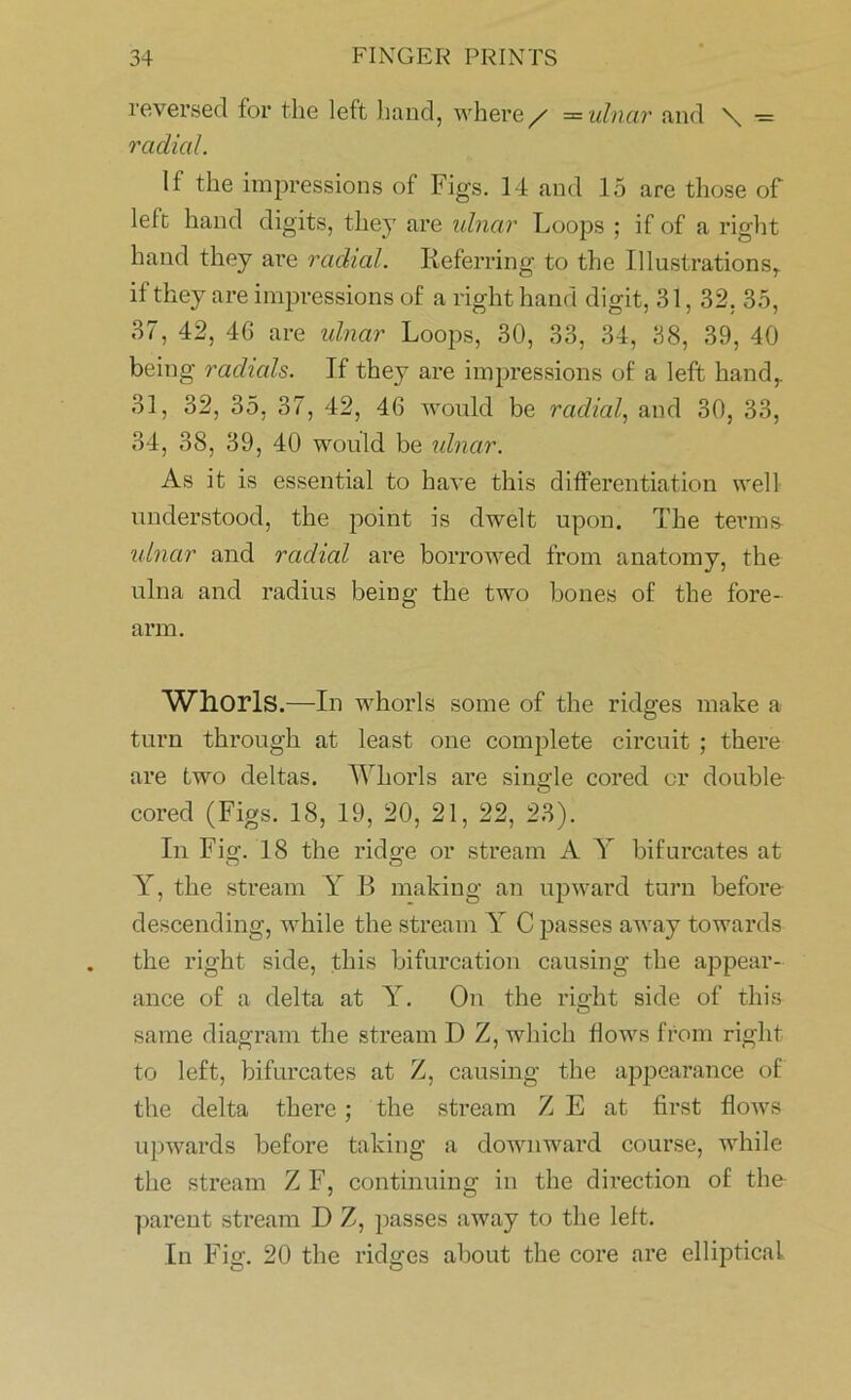 reversed for the left hand, where / = ulnar and \ = radial. li the impressions of Figs. 14 and 15 are those of left hand digits, they are ulnar Loops ; if of a right hand they are radial. Referring to the Illustrations,, if they are impressions of a right hand digit, 31, 32, 35, 37, 42, 46 are ulnar Loops, 30, 33, 34, 38, 39, 40 being radials. If they are impressions of a left hand,. 31, 32, 35, 37, 42, 46 would be radial, and 30, 33, 34, 38, 39, 40 would be ulnar. As it is essential to have this differentiation well understood, the point is dwelt upon. The terms ulnar and radial are borrowed from anatomy, the ulna and radius being the two bones of the fore- arm. Whorls.—In whorls some of the ridges make a turn through at least one complete circuit ; there are two deltas. Whorls are single cored or double cored (Figs. 18, 19, 20, 21, 22, 23). In Fig. 18 the ridge or stream A Y bifurcates at Y, the stream Y B making an upward turn before descending, while the stream Y C passes away towards the right side, this bifurcation causing the appear- ance of a delta at Y. On the right side of this same diagram the stream D Z, which flows from right to left, bifurcates at Z, causing the appearance of the delta there; the stream Z E at first flows upwards before taking a downward course, while the stream Z F, continuing in the direction of the parent stream D Z, passes away to the left. In Fig. 20 the ridges about the core are elliptical