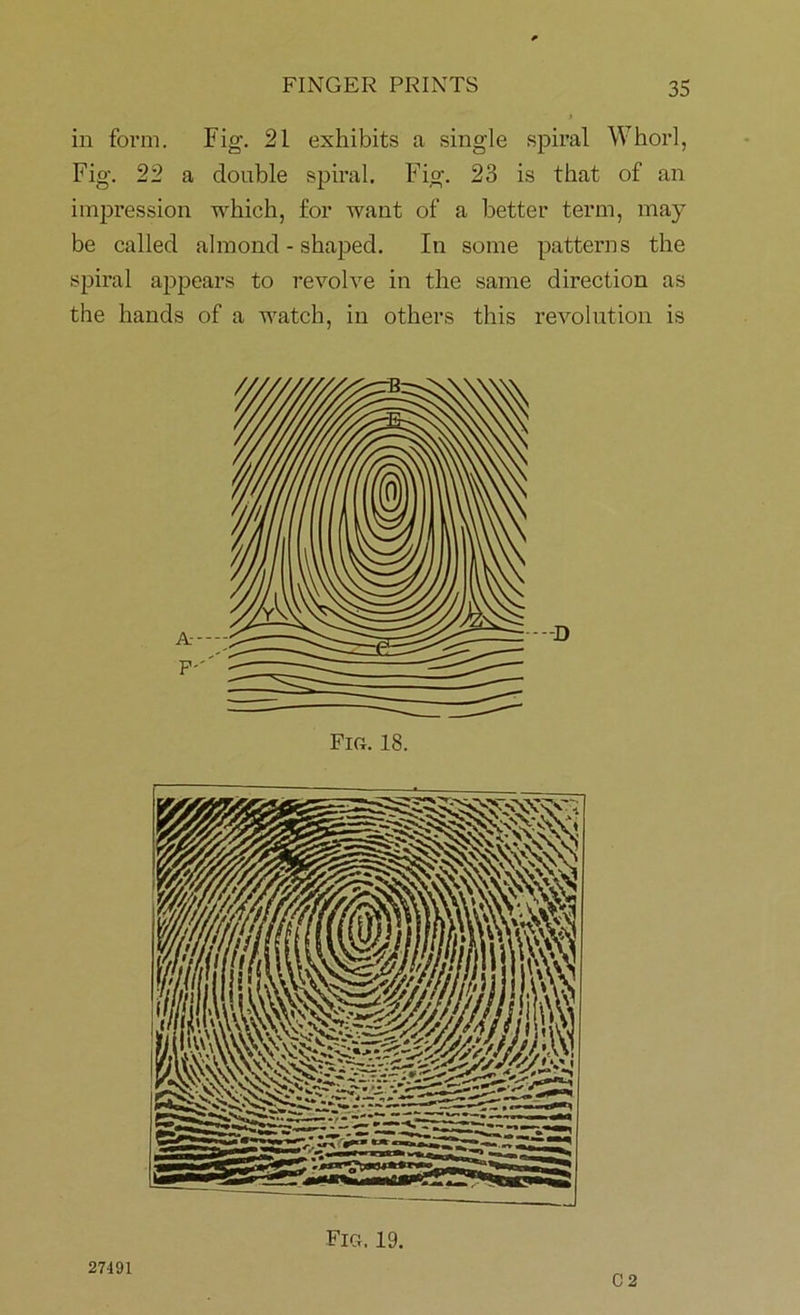 in form. Fig-. 21 exhibits a single spiral Whorl, Fig. 22 a double spiral. Fig. 23 is that of an impression which, for want of a better term, may be called almond-shaped. In some patterns the spiral appears to revolve in the same direction as the hands of a watch, in others this revolution is Fig. 19. 27491 C 2