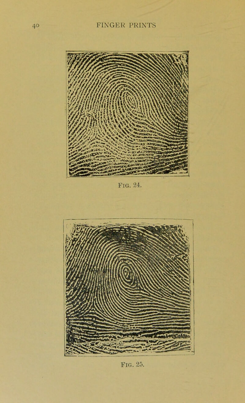 Fig. 24.