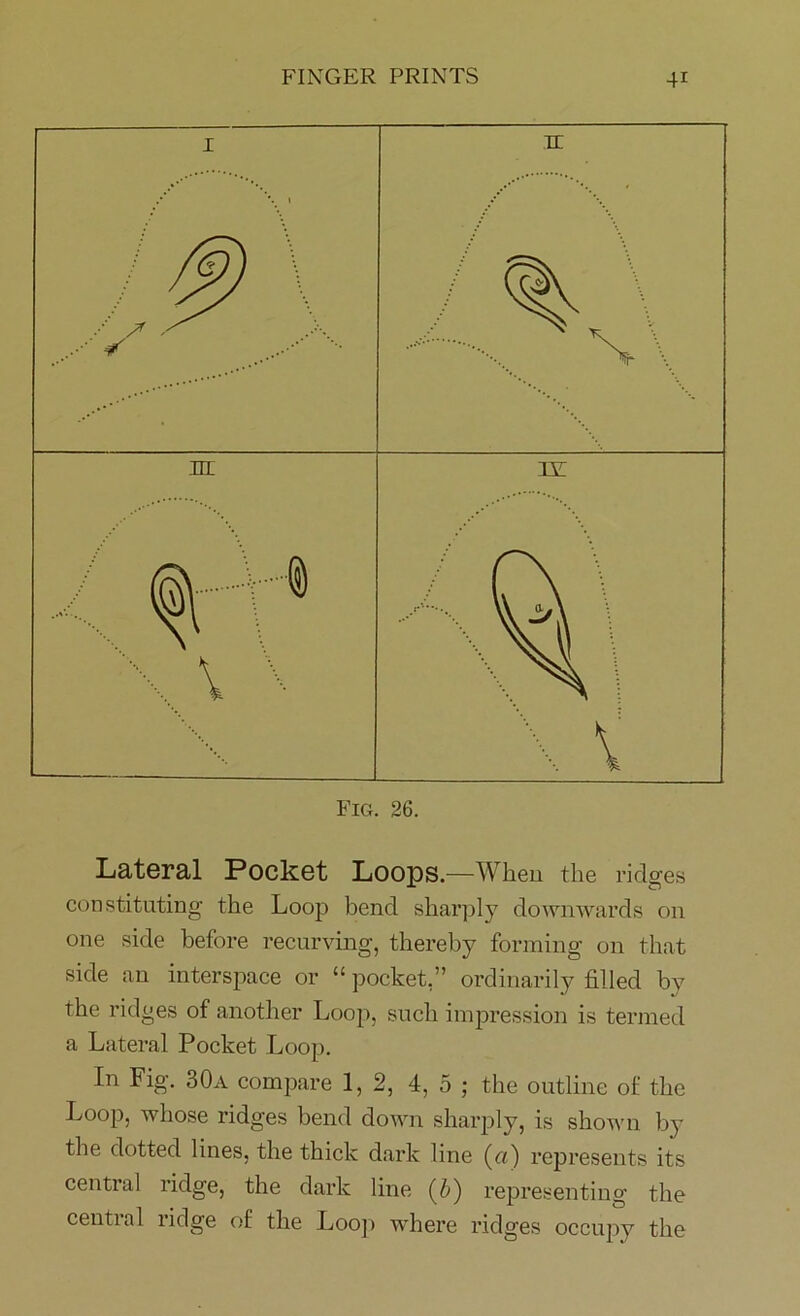 Fig. 26. Lateral Pocket Loops.—When the ridges constituting' the Loop bend sharply downwards on one side before recurving, thereby forming on that side an interspace or “ pocket,” ordinarily filled by the ridges of another Loop, such impression is termed a Lateral Pocket Loop. In Fig. 30a compare 1,2, 4, 5 ; the outline of the Loop, whose ridges bend down sharply, is shown by the dotted lines, the thick dark line (ci) represents its central ridge, the dark line (b) representing the central ridge of the Loop where ridges occupy the