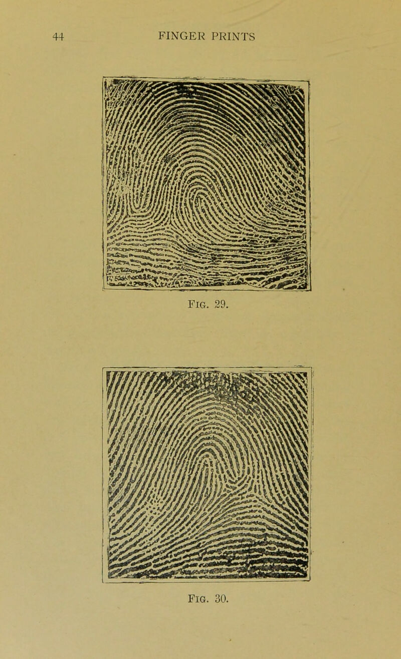 Fig. 29.