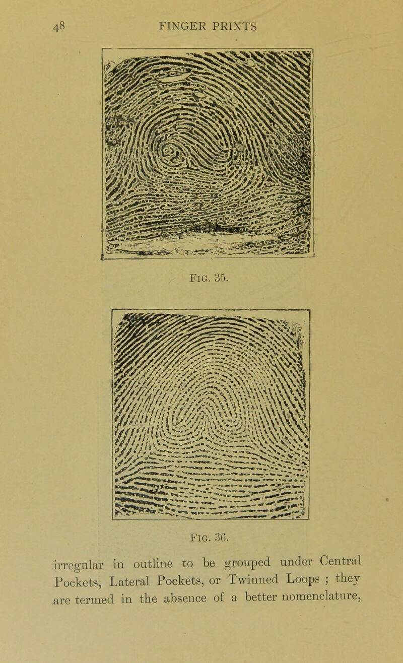 Fig. 35. Fig. 36. irregular in outline to be grouped under Central Pockets, Lateral Pockets, or Twinned Loops ; they nre termed in the absence of a better nomenclature,