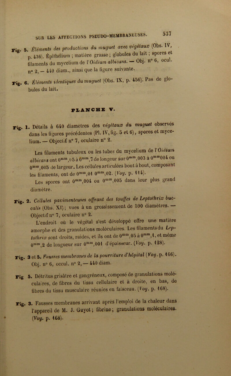 5. Éléments des productions du muguet avec végétaux (Obs. IV, p. 436). Épithélium ; matière grasse ; globules du lait ; ^spores et filaments du mycélium de Y Oïdium albicans. Obj. n 6, ocu . no 2, - 440 diam., ainsi que la figure suivante. 6. Éléments identiques du muguet (Obs. IX, p. 456). Pas de glo- bules du lait. flanche V. 1. Détails à 640 diamètres des végétaux du muguet observés dans les figures précédentes (PI. lV,fig. 5 et 6), spores et mycé- lium. — Objectif n° 7, oculaire n° 2. Les filaments tubuleux ou les tubes du mycélium de Y Oïdium albicans ont 0mm,(>5 à 0mra,7 de longeur sur 0mm,003 à 0mm004 ou Qmin qo5 t]e largeur. Les cellules articulées bout à bout, composant les filaments, ont de 0mm,01 0mm,02. {Voy. p. 114). Les spores ont 0mm,004 ou 0mm,005 dans leur plus grand diamètre. 2. Cellules pavimenteuses offrant des touffes de Leptothrix buc~ calis (Obs. XI); vues à un grossissement de 590 diamètres. — Objectif n° 7, oculaire n° 2. L’endroit où le végétal s’est développé offre une matière amorphe et des granulations moléculaires. Les filaments du Lep- tolhrix sont droits, raides, et ils ont de O™,05 à0“»4, et même Qram 2 de longueur sur 0mm,001 d’épaisseur. {Voy. p. 128). i * 3 et 5. Fausses membranes de la pourriture d hôpital (Voy. p. 466). Obj. n° 6, occul. n° 2,— 440 diam. 5. Détritus grisâtre et gangréneux, composé de granulations molé- culaires, de fibres du tissu cellulaire et à droite, en bas, de fibres du tissu musculaire réunies en faisceau. (Voy. p. 168). . 3. Fausses membranes arrivant après l’emploi de la chaleur dans l’appareil de M. J. Guyot; fibrine; granulations moléculaires. (Voy. p. 468).