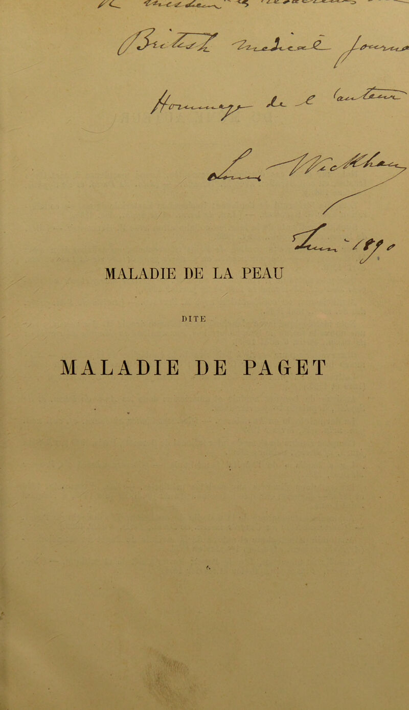 jU ^ MALADIE DE LA PEAU DITE MALADIE DE PALET