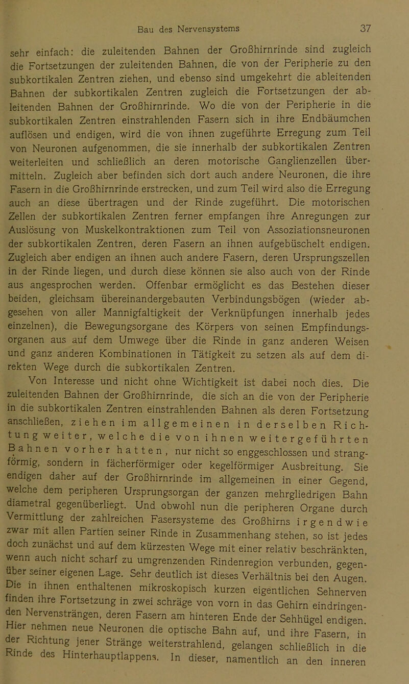 sehr einfach: die zuleitenden Bahnen der Großhirnrinde sind zugleich die Fortsetzungen der zuleitenden Bahnen, die von der Peripherie zu den subkortikalen Zentren ziehen, und ebenso sind umgekehrt die ableitenden Bahnen der subkortikalen Zentren zugleich die Fortsetzungen der ab- leitenden Bahnen der Großhirnrinde. Wo die von der Peripherie in die subkortikalen Zentren einstrahlenden Fasern sich in ihre Endbäumchen auflösen und endigen, wird die von ihnen zugeführte Erregung zum Teil von Neuronen aufgenommen, die sie innerhalb der subkortikalen Zentren weiterleiten und schließlich an deren motorische Ganglienzellen über- mitteln. Zugleich aber befinden sich dort auch andere Neuronen, die ihre Fasern in die Großhirnrinde erstrecken, und zum Teil wird also die Erregung auch an diese übertragen und der Rinde zugeführt. Die motorischen Zellen der subkortikalen Zentren ferner empfangen ihre Anregungen zur Auslösung von Muskelkontraktionen zum Teil von Assoziationsneuronen der subkortikalen Zentren, deren Fasern an ihnen aufgebüschelt endigen. Zugleich aber endigen an ihnen auch andere Fasern, deren Ursprungszellen in der Rinde liegen, und durch diese können sie also auch von der Rinde aus angesprochen werden. Offenbar ermöglicht es das Bestehen dieser beiden, gleichsam übereinandergebauten Verbindungsbögen (wieder ab- gesehen von aller Mannigfaltigkeit der Verknüpfungen innerhalb jedes einzelnen), die Bewegungsorgane des Körpers von seinen Empfindungs- organen aus auf dem Umwege über die Rinde in ganz anderen Weisen und ganz anderen Kombinationen in Tätigkeit zu setzen als auf dem di- rekten Wege durch die subkortikalen Zentren. Von Interesse und nicht ohne Wichtigkeit ist dabei noch dies. Die zuleitenden Bahnen der Großhirnrinde, die sich an die von der Peripherie in die subkortikalen Zentren einstrahlenden Bahnen als deren Fortsetzung anschließen, ziehen im allgemeinen in derselben Rich- tungweiter, welche die von ihnen weitergeführten Bahnen vorher hatten, nur nicht so enggeschlossen und strang- förmig, sondern in fächerförmiger oder kegelförmiger Ausbreitung. Sie endigen daher auf der Großhirnrinde im allgemeinen in einer Gegend, welche dem peripheren Ursprungsorgan der ganzen mehrgliedrigen Bahn diametral gegenüberliegt. Und obwohl nun die peripheren Organe durch Vermittlung der zahlreichen Fasersysteme des Großhirns irgendwie zwar mit allen Partien seiner Rinde in Zusammenhang stehen, so ist jedes doch zunächst und auf dem kürzesten Wege mit einer relativ beschränkten, wenn auch nicht scharf zu umgrenzenden Rindenregion verbunden gegen- über seiner eigenen Lage. Sehr deutlich ist dieses Verhältnis bei den Augen. Die m ihnen enthaltenen mikroskopisch kurzen eigentlichen Sehnerven inden ihre Fortsetzung in zwei schräge von vorn in das Gehirn eindringen- den Nervensträngen, deren Fasern am hinteren Ende der Sehhügel endigen. ler nehmen neue Neuronen die optische Bahn auf, und ihre Fasern in der Richtung jener Stränge weiterstrahlend, gelangen schließlich in’die Rinde des Hinterhauptlappens. In dieser, namentlich an den inneren