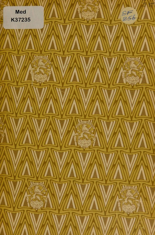 digitised image 3