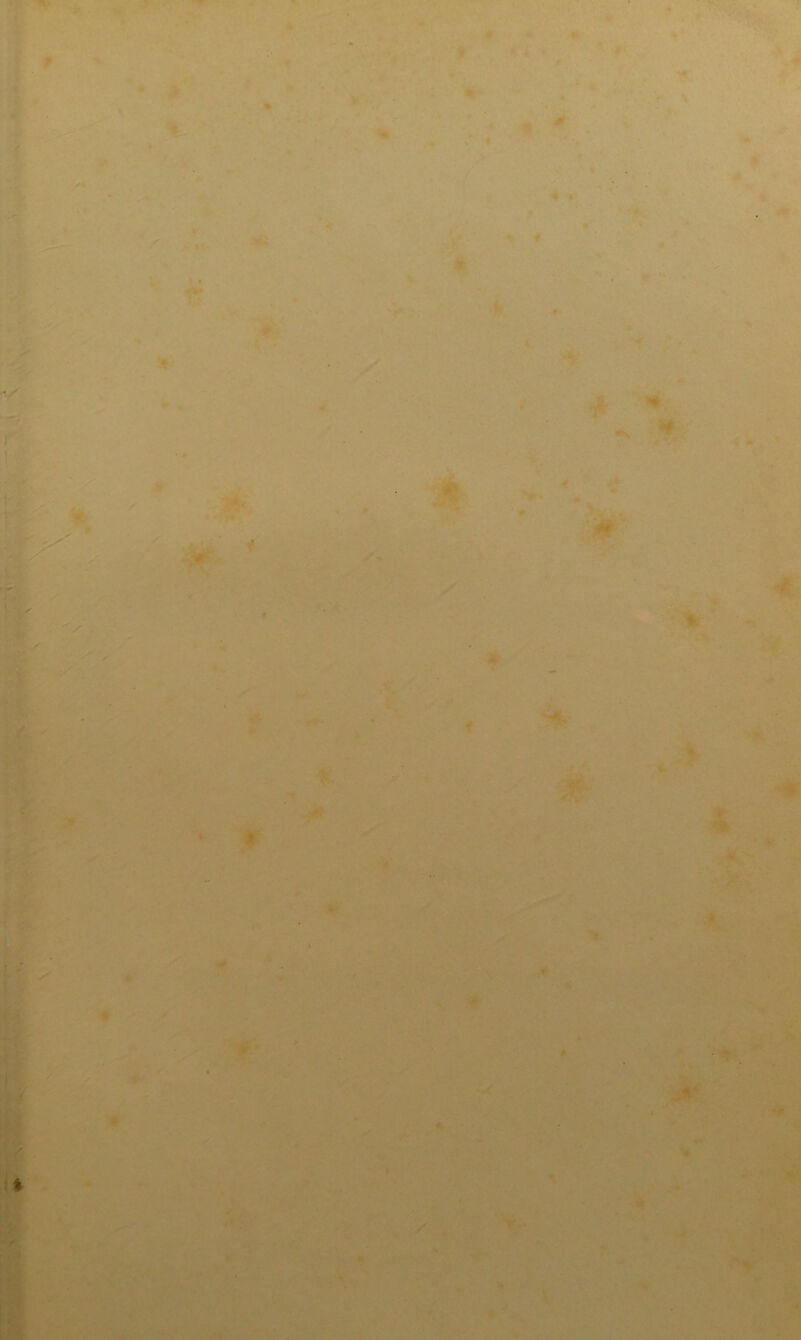 p 'i* ' ->• '1/ t I. i [ ■■*1 » t ♦ * a » ■* » /V I ■» « -I: '% t4