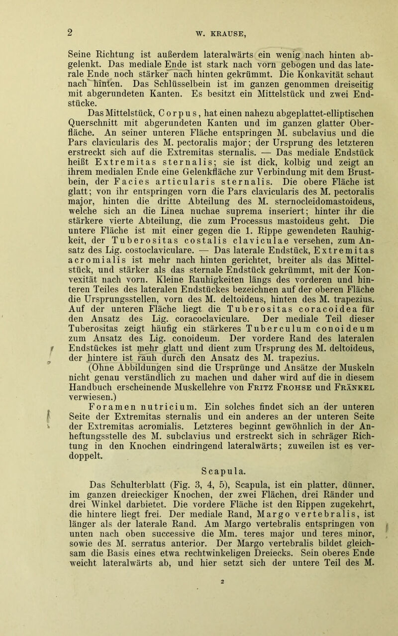 Seine Richtung ist außerdem lateralwärts ein wenig nach hinten ab- gelenkt. Das mediale Ende ist stark nach vorn gebogen und das late- rale Ende noch stärker nach hinten gekrümmt. Die Konkavität schaut nach hinten. Das Schlüsselbein ist im ganzen genommen dreiseitig mit abgerundeten Kanten. Es besitzt ein Mittelstück und zwei End- stücke. Das Mittelstück, Corpus, hat einen nahezu abgeplattet-elliptischen Querschnitt mit abgerundeten Kanten und im ganzen glatter Ober- fläche. An seiner unteren Fläche entspringen M. subclavius und die Pars clavicularis des M. pectoralis major; der Ursprung des letzteren erstreckt sich auf die Extremitas sternalis. — Das mediale Endstück heißt Extremitas sternalis; sie ist dick, kolbig und zeigt an ihrem medialen Ende eine Gelenkfläche zur Verbindung mit dem Brust- bein, der Facies articularis sternalis. Die obere Fläche ist glatt; von ihr entspringen vorn die Pars clavicularis des M. pectoralis major, hinten die dritte Abteilung des M. sternocleidomastoideus, welche sich an die Linea nuchae suprema inseriert; hinter ihr die stärkere vierte Abteilung, die zum Processus mastoideus geht. Die untere Fläche ist mit einer gegen die 1. Rippe gewendeten Rauhig- keit, der Tuberositas costalis claviculae versehen, zum An- satz des Lig. costoclaviculare. — Das laterale Endstück, Extremitas acromialis ist mehr nach hinten gerichtet, breiter als das Mittel- stück, und stärker als das sternale Endstück gekrümmt, mit der Kon- vexität nach vorn. Kleine Rauhigkeiten längs des vorderen und hin- teren Teiles des lateralen Endstückes bezeichnen auf der oberen Fläche die Ursprungsstellen, vorn des M. deltoideus, hinten des M. trapezius. Auf der unteren Fläche liegt die Tuberositas coracoideafür den Ansatz des Lig. coracoclaviculare. Der mediale Teil dieser Tuberositas zeigt häufig ein stärkeres Tuberculum conoideum zum Ansatz des Lig. conoideum. Der vordere Rand des lateralen Endstückes ist mehr glatt und dient zum Ursprung des M. deltoideus, der hintere ist rauh durch den Ansatz des M. trapezius. (Ohne Abbildungen sind die Ursprünge und Ansätze der Muskeln nicht genau verständlich zu machen und daher wird auf die in diesem Handbuch erscheinende Muskellehre von Fritz Frohse und Frankel verwiesen.) Foramen nutricium. Ein solches findet sich an der unteren Seite der Extremitas sternalis und ein anderes an der unteren Seite der Extremitas acromialis. Letzteres beginnt gewöhnlich in der An- heftungsstelle des M. subclavius und erstreckt sich in schräger Rich- tung in den Knochen eindringend lateralwärts; zuweilen ist es ver- doppelt. Scapula. Das Schulterblatt (Fig. 3, 4, 5), Scapula, ist ein platter, dünner, im ganzen dreieckiger Knochen, der zwei Flächen, drei Ränder und drei Winkel darbietet. Die vordere Fläche ist den Rippen zugekehrt, die hintere liegt frei. Der mediale Rand, Margo vertebralis, ist länger als der laterale Rand. Am Margo vertebralis entspringen von unten nach oben successive die Mm. teres major und teres minor, sowie des M. serratus anterior. Der Margo vertebralis bildet gleich- sam die Basis eines etwa rechtwinkeligen Dreiecks. Sein oberes Ende weicht lateralwärts ab, und hier setzt sich der untere Teil des M.