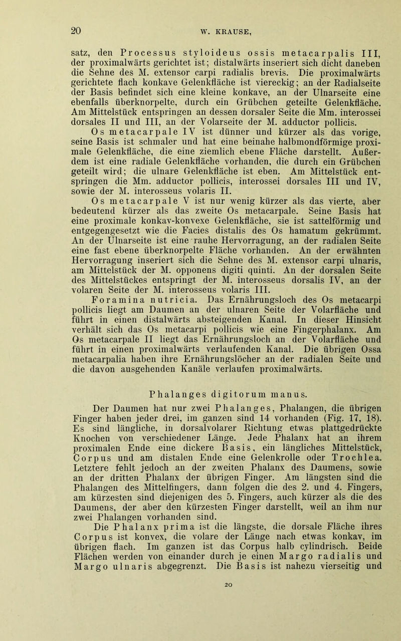 satz, den Processus styloideus ossis metacarpalis III, der proximalwärts gerichtet ist; distalwärts inseriert sich dicht daneben die Sehne des M. extensor carpi radialis brevis. Die proximalwärts gerichtete flach konkave Gelenkfläche ist viereckig; an der Radialseite der Basis befindet sich eine kleine konkave, an der Ulnarseite eine ebenfalls überknorpelte, durch ein Grübchen geteilte Gelenkfläche. Am Mittelstück entspringen an dessen dorsaler Seite die Mm. interossei dorsales II und III, an der Volarseite der M. adductor pollicis. Os metacarpale IV ist dünner und kürzer als das vorige, seine Basis ist schmaler und hat eine beinahe halbmondförmige proxi- male Gelenkfläche, die eine ziemlich ebene Fläche darstellt. Außer- dem ist eine radiale Gelenkfläche vorhanden, die durch ein Grübchen geteilt wird; die ulnare Gelenkfläche ist eben. Am Mittelstück ent- springen die Mm. adductor pollicis, interossei dorsales III und IV, sowie der M. interosseus volaris II. Os metacarpale V ist nur wenig kürzer als das vierte, aber bedeutend kürzer als das zweite Os metacarpale. Seine Basis hat eine proximale konkav-konvexe Gelenkfläche, sie ist sattelförmig und entgegengesetzt wie die Facies distalis des Os hamatum gekrümmt. An der Ulnarseite ist eine rauhe Hervorragung, an der radialen Seite eine fast ebene überknorpelte Fläche vorhanden. An der erwähnten Hervorragung inseriert sich die Sehne des M. extensor carpi ulnaris, am Mittelstück der M. opponens digiti quinti. An der dorsalen Seite des Mittelstückes entspringt der M. interosseus dorsalis IV, an der volaren Seite der M. interosseus volaris III. Foramina nutricia. Das Ernährungsloch des Os metacarpi pollicis liegt am Daumen an der ulnaren Seite der Volarfläche und führt in einen distalwärts absteigenden Kanal. In dieser Hinsicht verhält sich das Os metacarpi pollicis wie eine Fingerphalanx. Am Os metacarpale II liegt das Ernährungsloch an der Volarfläche und führt in einen proximalwärts verlaufenden Kanal. Die übrigen Ossa metacarpalia haben ihre Ernährungslöcher an der radialen Seite und die davon ausgehenden Kanäle verlaufen proximalwärts. Phalanges digitorum manus. Der Daumen hat nur zwei Phalanges, Phalangen, die übrigen Finger haben jeder drei, im ganzen sind 14 vorhanden (Fig. 17, 18). Es sind längliche, in dorsalvolarer Richtung etwas plattgedrückte Knochen von verschiedener Länge. Jede Phalanx hat an ihrem proximalen Ende eine dickere Basis, ein längliches Mittelstück, Corpus und am distalen Ende eine Gelenkrolle oder Trochlea. Letztere fehlt jedoch an der zweiten Phalanx des Daumens, sowie an der dritten Phalanx der übrigen Finger. Am längsten sind die Phalangen des Mittelfingers, dann folgen die des 2. und 4. Fingers, am kürzesten sind diejenigen des 5. Fingers, auch kürzer als die des Daumens, der aber den kürzesten Finger darstellt, weil an ihm nur zwei Phalangen vorhanden sind. Die Phalanx prima ist die längste, die dorsale Fläche ihres Corpus ist konvex, die volare der Länge nach etwas konkav, im übrigen flach. Im ganzen ist das Corpus halb cylindrisch. Beide Flächen werden von einander durch je einen Margo radialis und Margo ulnaris abgegrenzt. Die Basis ist nahezu vierseitig und 20