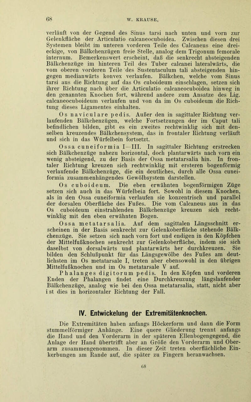verläuft von der Gegend des Sinus tarsi nach unten und vorn zur Gelenkfläche der Articulatio calcaneocuboidea. Zwischen diesen drei Systemen bleibt im unteren vorderen Teile des Calcaneus eine drei- eckige, von Bälkchenzügen freie Stelle, analog dem Trigonum femorale internum. Bemerkenswert erscheint, daß die senkrecht absteigenden Bälkchenzüge im hinteren Teil des Tuber calcanei lateralwärts, die vom oberen vorderen Teile des Sustentaculum tali absteigenden hin- gegen median wärts konvex verlaufen. Bälkchen, welche vom Sinus tarsi aus die Richtung auf das Os cuboideum einschlagen, setzen sich ihrer Richtung nach über die Articulatio calcaneocuboidea hinweg in den genannten Knochen fort, während andere zum Ansätze des Lig. calcaneocuboideum verlaufen und von da im Os cuboideum die Rich- tung dieses Ligamentes einhalten. Os naviculare pedis. Außer den in sagittaler Richtung ver- laufenden Bälkchenzügen, welche Fortsetzungen der im Caput tali befindlichen bilden, gibt es ein zweites rechtwinklig sich mit den- selben kreuzendes Bälkchensystem, das in frontaler Richtung verläuft und sich in das Würfelbein fortsetzt. Ossa cuneiformia I—III. In sagittaler Richtung erstrecken sich Bälkchenzüge nahezu horizontal, doch plantarwärts nach vorn ein wenig absteigend, zu der Basis der Ossa metatarsalia hin. In fron- taler Richtung kreuzen sich rechtwinklig mit ersteren bogenförmig verlaufende Bälkchenzüge, die ein deutliches, durch alle Ossa cunei- formia zusammenhängendes Gewölbsystem darstellen. Os cuboideum. Die eben erwähnten bogenförmigen Züge setzen sich auch in das Würfelbein fort. Sowohl in diesem Knochen, als in den Ossa cuneiformia verlaufen sie konzentrisch und parallel der dorsalen Oberfläche des Fußes. Die vom Calcaneus aus in das Os cuboideum einstrahlendeu Bälkchenzüge kreuzen sich recht- winklig mit den eben erwähnten Bogen. Ossa metatarsalia. Auf dem sagittalen Längsschnitt er- scheinen in der Basis senkrecht zur Gelenkoberfläche stehende Bälk- chenzüge. Sie setzen sich nach vorn fort und endigen in den Köpfchen der Mittelfußknochen senkrecht zur Gelenkoberfläche, indem sie sich daselbst von dorsalwärts und plantarwärts her durchkreuzen. Sie bilden den Schlußpunkt für das Längsgewölbe des Fußes am deut- lichsten im Os metatarsale I, treten aber ebensowohl in den übrigen Mittelfußknochen und im Os metatarsale V auf. Phalanges digitorum pedis. In den Köpfen und vorderen Enden der Phalangen findet eine Durchkreuzung längslaufender Bälkchenzüge, analog wie bei den Ossa metatarsalia, statt, nicht aber i st dies in horizontaler Richtung der Fall. IV. Entwickelung der Extremitätenknochen. Die Extremitäten haben anfangs Höckerform und dann die Form stummelförmiger Anhänge. Eine quere Gliederung trennt anfangs die Hand und den Vorderarm in der späteren Ellenbogengegend, die Anlage der Hand übertrifft aber an Größe den Vorderarm und Ober- arm zusammengenommen. In dieser Zeit treten oberflächliche Ein- kerbungen am Rande auf, die später zu Fingern heranwachsen.