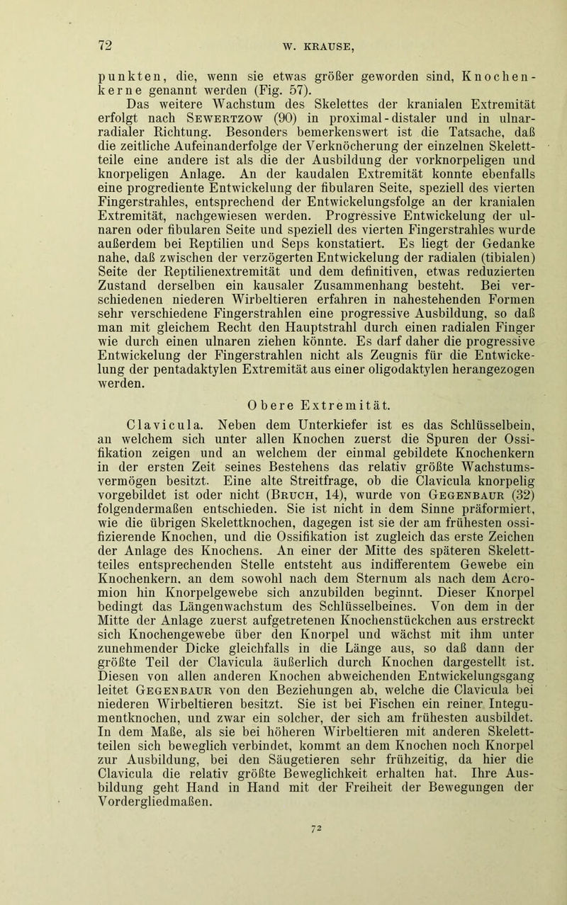 punkten, die, wenn sie etwas größer geworden sind, Knochen - kerne genannt werden (Fig. 57). Das weitere Wachstum des Skelettes der kranialen Extremität erfolgt nach Sewertzow (90) in proximal - distaler und in ulnar- radialer Richtung. Besonders bemerkenswert ist die Tatsache, daß die zeitliche Aufeinanderfolge der Verknöcherung der einzelnen Skelett- teile eine andere ist als die der Ausbildung der vorknorpeligen und knorpeligen Anlage. An der kaudalen Extremität konnte ebenfalls eine progrediente Entwickelung der fibularen Seite, speziell des vierten Fingerstrahles, entsprechend der Entwickelungsfolge an der kranialen Extremität, nachgewiesen werden. Progressive Entwickelung der ul- naren oder fibularen Seite und speziell des vierten Fingerstrahles wurde außerdem bei Reptilien und Seps konstatiert. Es liegt der Gedanke nahe, daß zwischen der verzögerten Entwickelung der radialen (tibialen) Seite der Reptilienextremität und dem definitiven, etwas reduzierten Zustand derselben ein kausaler Zusammenhang besteht. Bei ver- schiedenen niederen Wirbeltieren erfahren in nahestehenden Formen sehr verschiedene Fingerstrahlen eine progressive Ausbildung, so daß man mit gleichem Recht den Hauptstrahl durch einen radialen Finger wie durch einen ulnaren ziehen könnte. Es darf daher die progressive Entwickelung der Fingerstrahlen nicht als Zeugnis für die Entwicke- lung der pentadaktylen Extremität aus einer oligodaktylen herangezogen werden. Obere Extremität. Clavicula. Neben dem Unterkiefer ist es das Schlüsselbein, an welchem sich unter allen Knochen zuerst die Spuren der Ossi- fikation zeigen und an welchem der einmal gebildete Knochenkern in der ersten Zeit seines Bestehens das relativ größte Wachstums- vermögen besitzt. Eine alte Streitfrage, ob die Clavicula knorpelig vorgebildet ist oder nicht (Bruch, 14), wurde von Gegenraur (32) folgendermaßen entschieden. Sie ist nicht in dem Sinne präformiert, wie die übrigen Skelettknochen, dagegen ist sie der am frühesten ossi- fizierende Knochen, und die Ossifikation ist zugleich das erste Zeichen der Anlage des Knochens. An einer der Mitte des späteren Skelett- teiles entsprechenden Stelle entsteht aus indifferentem Gewebe ein Knochenkern, an dem sowohl nach dem Sternum als nach dem Acro- mion hin Knorpelgewebe sich anzubilden beginnt. Dieser Knorpel bedingt das Längenwachstum des Schlüsselbeines. Von dem in der Mitte der Anlage zuerst aufgetretenen Knochenstückchen aus erstreckt sich Knochengewebe über den Knorpel und wächst mit ihm unter zunehmender Dicke gleichfalls in die Länge aus, so daß dann der größte Teil der Clavicula äußerlich durch Knochen dargestellt ist. Diesen von allen anderen Knochen abweichenden Entwickelungsgang leitet Gegenbaur von den Beziehungen ab, welche die Clavicula bei niederen Wirbeltieren besitzt. Sie ist bei Fischen ein reiner Integu- mentknochen, und zwar ein solcher, der sich am frühesten ausbildet. In dem Maße, als sie bei höheren Wirbeltieren mit anderen Skelett- teilen sich beweglich verbindet, kommt an dem Knochen noch Knorpel zur Ausbildung, bei den Säugetieren sehr frühzeitig, da hier die Clavicula die relativ größte Beweglichkeit erhalten hat. Ihre Aus- bildung geht Hand in Hand mit der Freiheit der Bewegungen der Vordergliedmaßen.