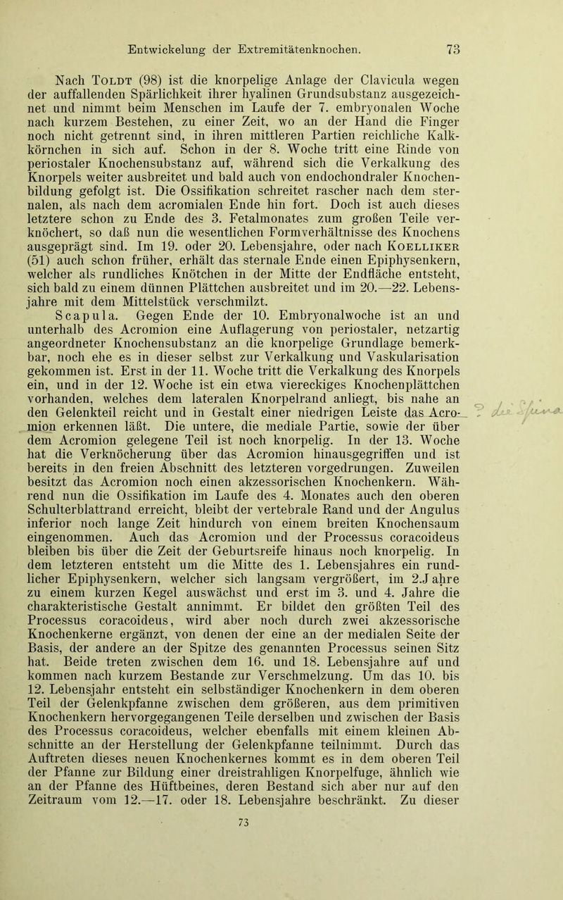 Nach Toldt (98) ist die knorpelige Anlage der Clavicula wegen der auffallenden Spärlichkeit ihrer hyalinen Grundsubstanz ausgezeich- net und nimmt beim Menschen im Laufe der 7. embryonalen Woche nach kurzem Bestehen, zu einer Zeit, wo an der Hand die Finger noch nicht getrennt sind, in ihren mittleren Partien reichliche Kalk- körnchen in sich auf. Schon in der 8. Woche tritt eine Rinde von periostaler Knochensubstanz auf, während sich die Verkalkung des Knorpels weiter ausbreitet und bald auch von endochondraler Knochen- bildung gefolgt ist. Die Ossifikation schreitet rascher nach dem ster- nalen, als nach dem acromialen Ende hin fort. Doch ist auch dieses letztere schon zu Ende des 3. Fetalmonates zum großen Teile ver- knöchert, so daß nun die wesentlichen Formverhältnisse des Knochens ausgeprägt sind. Im 19. oder 20. Lebensjahre, oder nach Koelliker (51) auch schon früher, erhält das sternale Ende einen Epiphysenkern, welcher als rundliches Knötchen in der Mitte der Endfläche entsteht, sich bald zu einem dünnen Plättchen ausbreitet und im 20.—22. Lebens- jahre mit dem Mittelstück verschmilzt. Scapula. Gegen Ende der 10. Embryonalwoche ist an und unterhalb des Acromion eine Auflagerung von periostaler, netzartig angeordneter Knochensubstanz an die knorpelige Grundlage bemerk- bar, noch ehe es in dieser selbst zur Verkalkung und Vaskularisation gekommen ist. Erst in der 11. Woche tritt die Verkalkung des Knorpels ein, und in der 12. Woche ist ein etwa viereckiges Knochenplättchen vorhanden, welches dem lateralen Knorpelrand anliegt, bis nahe an den Gelenkteil reicht und in Gestalt einer niedrigen Leiste das Acro- mion erkennen läßt. Die untere, die mediale Partie, sowie der über dem Acromion gelegene Teil ist noch knorpelig. In der 13. Woche hat die Verknöcherung über das Acromion hinausgegriffen und ist bereits in den freien Abschnitt des letzteren vorgedrungen. Zuweilen besitzt das Acromion noch einen akzessorischen Knochenkern. Wäh- rend nun die Ossifikation im Laufe des 4. Monates auch den oberen Schulterblattrand erreicht, bleibt der vertebrale Rand und der Angulus inferior noch lange Zeit hindurch von einem breiten Knochensaum eingenommen. Auch das Acromion und der Processus coracoideus bleiben bis über die Zeit der Geburtsreife hinaus noch knorpelig. In dem letzteren entsteht um die Mitte des 1. Lebensjahres ein rund- licher Epiphysenkern, welcher sich langsam vergrößert, im 2.J ahre zu einem kurzen Kegel aus wächst und erst im 3. und 4. Jahre die charakteristische Gestalt annimmt. Er bildet den größten Teil des Processus coracoideus, wird aber noch durch zwei akzessorische Knochenkerne ergänzt, von denen der eine an der medialen Seite der Basis, der andere an der Spitze des genannten Processus seinen Sitz hat. Beide treten zwischen dem 16. und 18. Lebensjahre auf und kommen nach kurzem Bestände zur Verschmelzung. Um das 10. bis 12. Lebensjahr entsteht ein selbständiger Knochenkern in dem oberen Teil der Gelenkpfanne zwischen dem größeren, aus dem primitiven Knochenkern hervorgegangenen Teile derselben und zwischen der Basis des Processus coracoideus, welcher ebenfalls mit einem kleinen Ab- schnitte an der Herstellung der Gelenkpfanne teilnimmt. Durch das Auftreten dieses neuen Knochenkernes kommt es in dem oberen Teil der Pfanne zur Bildung einer dreistrahligen Knorpelfuge, ähnlich wie an der Pfanne des Hüftbeines, deren Bestand sich aber nur auf den Zeitraum vom 12.—17. oder 18. Lebensjahre beschränkt. Zu dieser 73