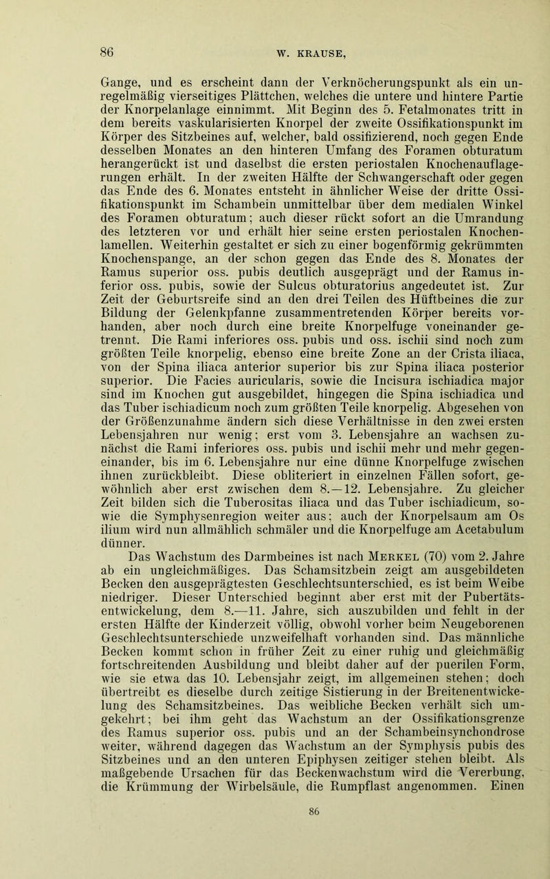 Gange, und es erscheint dann der Verknöcherungspunkt als ein un- regelmäßig vierseitiges Plättchen, welches die untere und hintere Partie der Knorpelanlage einnimmt. Mit Beginn des 5. Fetalmonates tritt in dem bereits vaskularisierten Knorpel der zweite Ossifikationspunkt im Körper des Sitzbeines auf, welcher, bald ossifizierend, noch gegen Ende desselben Monates an den hinteren Umfang des Foramen obturatum herangerückt ist und daselbst die ersten periostalen Knochenauflage- rungen erhält. In der zweiten Hälfte der Schwangerschaft oder gegen das Ende des 6. Monates entsteht in ähnlicher Weise der dritte Ossi- fikationspunkt im Schambein unmittelbar über dem medialen Winkel des Foramen obturatum; auch dieser rückt sofort an die Umrandung des letzteren vor und erhält hier seine ersten periostalen Knochen- lamellen. Weiterhin gestaltet er sich zu einer bogenförmig gekrümmten Knochenspange, an der schon gegen das Ende des 8. Monates der Ramus superior oss. pubis deutlich ausgeprägt und der Ramus in- ferior oss. pubis, sowie der Sulcus obturatorius angedeutet ist. Zur Zeit der Geburtsreife sind an den drei Teilen des Hüftbeines die zur Bildung der Gelenkpfanne zusammentretenden Körper bereits vor- handen, aber noch durch eine breite Knorpelfuge voneinander ge- trennt. Die Rami inferiores oss. pubis und oss. ischii sind noch zum größten Teile knorpelig, ebenso eine breite Zone an der Crista iliaca, von der Spina iliaca anterior superior bis zur Spina iliaca posterior superior. Die Facies auricularis, sowie die Incisura ischiadica major sind im Knochen gut ausgebildet, hingegen die Spina ischiadica und das Tuber ischiadicum noch zum größten Teile knorpelig. Abgesehen von der Größenzunahme ändern sich diese Verhältnisse in den zwei ersten Lebensjahren nur wenig; erst vom 3. Lebensjahre an wachsen zu- nächst die Rami inferiores oss. pubis und ischii mehr und mehr gegen- einander, bis im 6. Lebensjahre nur eine dünne Knorpelfuge zwischen ihnen zurückbleibt. Diese obliteriert in einzelnen Fällen sofort, ge- wöhnlich aber erst zwischen dem 8.—12. Lebensjahre. Zu gleicher Zeit bilden sich die Tuberositas iliaca und das Tuber ischiadicum, so- wie die Symphysenregion weiter aus; auch der Knorpelsaum am Os ilium wird nun allmählich schmäler und die Knorpelfuge am Acetabulum dünner. Das Wachstum des Darmbeines ist nach Merkel (70) vom 2. Jahre ab ein ungleichmäßiges. Das Schamsitzbein zeigt am ausgebildeten Becken den ausgeprägtesten Geschlechtsunterschied, es ist beim Weibe niedriger. Dieser Unterschied beginnt aber erst mit der Pubertäts- entwickelung, dem 8.—11. Jahre, sich auszubilden und fehlt in der ersten Hälfte der Kinderzeit völlig, obwohl vorher beim Neugeborenen Geschlechtsunterschiede unzweifelhaft vorhanden sind. Das männliche Becken kommt schon in früher Zeit zu einer ruhig und gleichmäßig fortschreitenden Ausbildung und bleibt daher auf der puerilen Form, wie sie etwa das 10. Lebensjahr zeigt, im allgemeinen stehen; doch übertreibt es dieselbe durch zeitige Sistierung in der Breitenentwicke- lung des Schamsitzbeines. Das weibliche Becken verhält sich um- gekehrt; bei ihm geht das Wachstum an der Ossifikationsgrenze des Ramus superior oss. pubis und an der Schambeinsynchondrose weiter, während dagegen das Wachstum an der Svmphysis pubis des Sitzbeines und an den unteren Epiphysen zeitiger stehen bleibt. Als maßgebende Ursachen für das Beckenwachstum wird die Vererbung, die Krümmung der Wirbelsäule, die Rumpflast angenommen. Einen 86