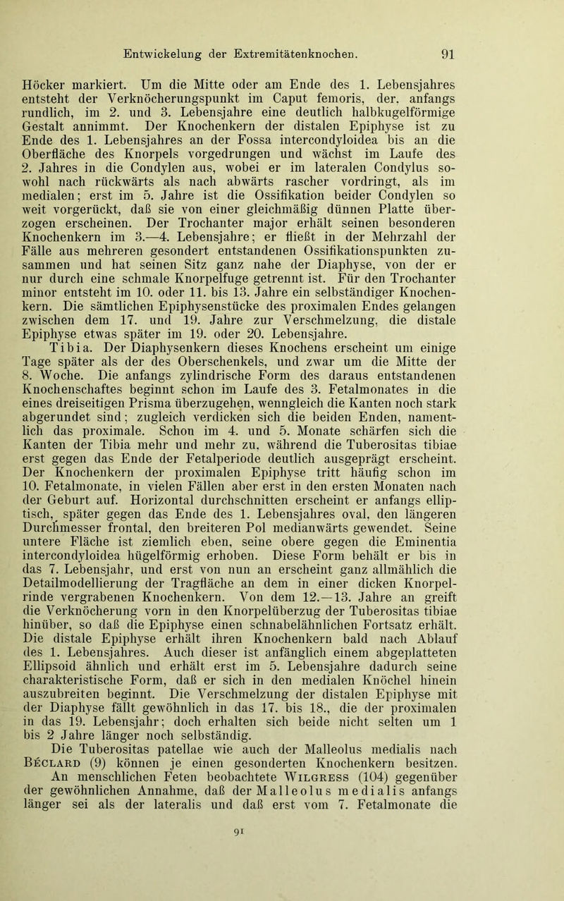 Höcker markiert. Um die Mitte oder am Ende des 1. Lebensjahres entsteht der Verknöcherungspunkt im Caput femoris, der. anfangs rundlich, im 2. und 3. Lebensjahre eine deutlich halbkugelförmige Gestalt annimmt. Der Knochenkern der distalen Epiphyse ist zu Ende des 1. Lebensjahres an der Fossa intercondyloidea bis an die Oberfläche des Knorpels vorgedrungen und wächst im Laufe des 2. Jahres in die Condylen aus, wobei er im lateralen Condylus so- wohl nach rückwärts als nach abwärts rascher vordringt, als im medialen; erst im 5. Jahre ist die Ossifikation beider Condylen so weit vorgerückt, daß sie von einer gleichmäßig dünnen Platte über- zogen erscheinen. Der Trochanter major erhält seinen besonderen Knochenkern im 3.—4. Lebensjahre; er fließt in der Mehrzahl der Fälle aus mehreren gesondert entstandenen Ossifikationspunkten zu- sammen und hat seinen Sitz ganz nahe der Diaphyse, von der er nur durch eine schmale Knorpelfuge getrennt ist. Für den Trochanter minor entsteht im 10. oder 11. bis 13. Jahre ein selbständiger Knochen- kern. Die sämtlichen Epiphysenstücke des proximalen Endes gelangen zwischen dem 17. und 19. Jahre zur Verschmelzung, die distale Epiphyse etwas später im 19. oder 20. Lebensjahre. Tibia. Der Diaphysenkern dieses Knochens erscheint um einige Tage später als der des Oberschenkels, und zwar um die Mitte der 8. Woche. Die anfangs zylindrische Form des daraus entstandenen Knochenschaftes beginnt schon im Laufe des 3. Fetalmonates in die eines dreiseitigen Prisma überzugehen, wenngleich die Kanten noch stark abgerundet sind; zugleich verdicken sich die beiden Enden, nament- lich das proximale. Schon im 4. und 5. Monate schärfen sich die Kanten der Tibia mehr und mehr zu. während die Tuberositas tibiae erst gegen das Ende der Fetalperiode deutlich ausgeprägt erscheint. Der Knochenkern der proximalen Epiphyse tritt häufig schon im 10. Fetalmonate, in vielen Fällen aber erst in den ersten Monaten nach der Geburt auf. Horizontal durchschnitten erscheint er anfangs ellip- tisch, später gegen das Ende des 1. Lebensjahres oval, den längeren Durchmesser frontal, den breiteren Pol medianwärts gewendet. Seine untere Fläche ist ziemlich eben, seine obere gegen die Eminentia intercondyloidea hügelförmig erhoben. Diese Form behält er bis in das 7. Lebensjahr, und erst von nun an erscheint ganz allmählich die Detailmodellierung der Tragfläche an dem in einer dicken Knorpel- rinde vergrabenen Knochenkern. Von dem 12.—13. Jahre an greift die Verknöcherung vorn in den Knorpelüberzug der Tuberositas tibiae hinüber, so daß die Epiphyse einen schnabelähnlichen Fortsatz erhält. Die distale Epiphyse erhält ihren Knochenkern bald nach Ablauf des 1. Lebensjahres. Auch dieser ist anfänglich einem abgeplatteten Ellipsoid ähnlich und erhält erst im 5. Lebensjahre dadurch seine charakteristische Form, daß er sich in den medialen Knöchel hinein auszubreiten beginnt. Die Verschmelzung der distalen Epiphyse mit der Diaphyse fällt gewöhnlich in das 17. bis 18., die der proximalen in das 19. Lebensjahr; doch erhalten sich beide nicht selten um 1 bis 2 Jahre länger noch selbständig. Die Tuberositas patellae wie auch der Malleolus medialis nach Beclard (9) können je einen gesonderten Knochenkern besitzen. An menschlichen Feten beobachtete Wilgress (104) gegenüber der gewöhnlichen Annahme, daß derMalleolus medialis anfangs länger sei als der lateralis und daß erst vom 7. Fetalmonate die 91
