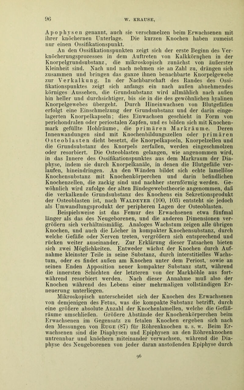 Apophysen genannt, auch sie verschmelzen beim Erwachsenen mit ihrer knöchernen Unterlage. Die kurzen Knochen haben zumeist nur einen Ossifikationspunkt. An den Ossifikationspunkten zeigt sich der erste Beginn des Ver- knöcherungsprozesses in dem Auftreten von Kalkkörnphen in der Knorpelgrundsubstanz, die mikroskopisch zunächst von äußerster Kleinheit sind. Nach und nach nehmen sie an Zahl zu, drängen sich zusammen und bringen das ganze ihnen benachbarte Knorpelgewebe zur Verkalkung. In der Nachbarschaft des Randes des Ossi- fikationspunktes zeigt sich anfangs ein nach außen abnehmendes körniges Aussehen, die Grundsubstanz wird allmählich nach außen hin heller und durchsichtiger, bis sie in die des gewöhnlichen hyalinen Knorpelgewebes übergeht. Durch Hineinwachsen von Blutgefäßen erfolgt eine Ein Schmelzung der Grundsubstanz und der darin einge- lagerten Knorpelkapseln; dies Einwachsen geschieht in Form von perichondralen oder periostalen Zapfen, und es bilden sich mit Knochen- mark gefüllte Hohlräume, die primären Markräume. Deren Innenwandungen sind mit Knochenbildungszellen oder primären Osteoblasten dicht besetzt, die Knorpelkapseln, Knorpelzellen und die Grundsubstanz des Knorpels zerfallen, werden eingeschmolzen oder resorbiert. Die Osteoblasten gelangen, wie angenommen wird, in das Innere des Ossifikationspunktes aus dem Markraum der Dia- pliyse, indem sie durch Knorpelkanäle, in denen die Blutgefäße ver- laufen, hineindringen. An den Wänden bildet sich echte lamellöse Knochensubstanz mit Knochenkörperchen und darin befindlichen Knochenzellen, die zackig sind und nachher sternförmig werden. Ge- wöhnlich wird zufolge der alten Bindegewebstheorie angenommen, daß die verkalkende Grundsubstanz des Knochens ein Sekretionsprodukt der Osteoblasten ist, nach Waldeyer (100, 103) entsteht sie jedoch als Umwandlungsprodukt der peripheren Lagen der Osteoblasten. Beispielsweise ist das Femur des Erwachsenen etwa fünfmal länger als das des Neugeborenen, und die anderen Dimensionen ver- größern sich verhältnismäßig. Analoges Wachstum zeigen alle übrigen Knochen, und auch die Löcher in kompakter Knochensubstanz, durch welche Gefäße oder Nerven treten, vergrößern sich entsprechend und rücken weiter auseinander. Zur Erklärung dieser Tatsachen bieten sich zwei Möglichkeiten. Entweder wächst der Knochen durch Auf- nahme kleinster Teile in seine Substanz, durch interstitielles Wachs- tum, oder es findet außen am Knochen unter dem Periost, sowie an seinen Enden Apposition neuer kompakter Substanz statt, während die innersten Schichten der letzteren von der Markhöhle aus fort- während resorbiert werden. Nach dieser Annahme muß also der Knochen während des Lebens einer mehrmaligen vollständigen Er- neuerung unterliegen. Mikroskopisch unterscheidet sich der Knochen des Erwachsenen von demjenigen des Fetus, was die kompakte Substanz betrifft, durch eine größere absolute Anzahl der Knochenlamellen, welche die Gefäß- räume umschließen. Größere Abstände der Knochenkörperchen beim Erwachsenen im Gegensatz zu fetalen Knochen ergeben sich nach den Messungen von Rüge (87) für Röhrenknochen u. s. w. Beim Er- wachsenen sind die Diaphysen und Epiphysen an den Röhrenknochen untrennbar und knöchern miteinander verwachsen, während die Dia- physe des Neugeborenen von jeder daran anstoßenden Epiphyse durch 96