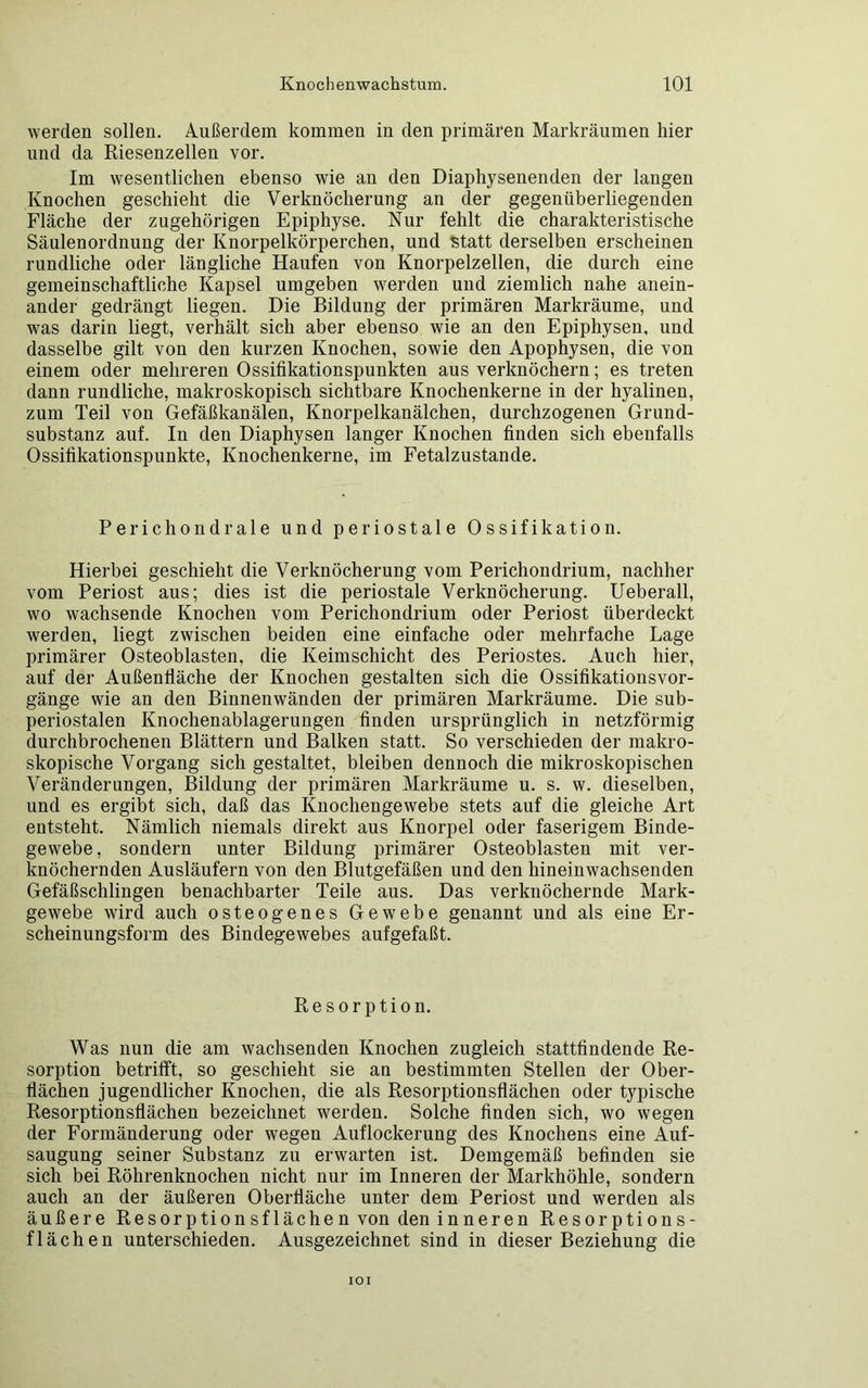 werden sollen. Außerdem kommen in den primären Markräumen hier und da Riesenzellen vor. Im wesentlichen ebenso wie an den Diaphysenenden der langen Knochen geschieht die Verknöcherung an der gegenüberliegenden Fläche der zugehörigen Epiphyse. Nur fehlt die charakteristische Säulenordnung der Knorpelkörperchen, und statt derselben erscheinen rundliche oder längliche Haufen von Knorpelzellen, die durch eine gemeinschaftliche Kapsel umgeben werden und ziemlich nahe anein- ander gedrängt liegen. Die Bildung der primären Markräume, und was darin liegt, verhält sich aber ebenso wie an den Epiphysen, und dasselbe gilt von den kurzen Knochen, sowie den Apophysen, die von einem oder mehreren Ossifikationspunkten aus verknöchern; es treten dann rundliche, makroskopisch sichtbare Knochenkerne in der hyalinen, zum Teil von Gefäßkanälen, Knorpelkanälchen, durchzogenen Grund- substanz auf. In den Diaphysen langer Knochen finden sich ebenfalls Ossifikationspunkte, Knochenkerne, im Fetalzustande. Perichondrale und periostale Ossifikation. Hierbei geschieht die Verknöcherung vom Perichondrium, nachher vom Periost aus; dies ist die periostale Verknöcherung. Ueberall, wo wachsende Knochen vom Perichondrium oder Periost überdeckt werden, liegt zwischen beiden eine einfache oder mehrfache Lage primärer Osteoblasten, die Keimschicht des Periostes. Auch hier, auf der Außenfläche der Knochen gestalten sich die Ossifikationsvor- gänge wie an den Binnenwänden der primären Markräume. Die sub- periostalen Knochenablagerungen finden ursprünglich in netzförmig durchbrochenen Blättern und Balken statt. So verschieden der makro- skopische Vorgang sich gestaltet, bleiben dennoch die mikroskopischen Veränderungen, Bildung der primären Markräume u. s. w. dieselben, und es ergibt sich, daß das Knochengewebe stets auf die gleiche Art entsteht. Nämlich niemals direkt aus Knorpel oder faserigem Binde- gewebe, sondern unter Bildung primärer Osteoblasten mit ver- knöchernden Ausläufern von den Blutgefäßen und den hineinwachsenden Gefäßschlingen benachbarter Teile aus. Das verknöchernde Mark- gewebe wird auch osteogenes Gewebe genannt und als eine Er- scheinungsform des Bindegewebes aufgefaßt. Resorption. Was nun die am wachsenden Knochen zugleich stattfindende Re- sorption betrifft, so geschieht sie an bestimmten Stellen der Ober- flächen jugendlicher Knochen, die als Resorptionsflächen oder typische Resorptionsflächen bezeichnet werden. Solche finden sich, wo wegen der Formänderung oder wegen Auflockerung des Knochens eine Auf- saugung seiner Substanz zu erwarten ist. Demgemäß befinden sie sich bei Röhrenknochen nicht nur im Inneren der Markhöhle, sondern auch an der äußeren Oberfläche unter dem Periost und werden als äußere Resorptionsflächen von den inneren Resorptions- flächen unterschieden. Ausgezeichnet sind in dieser Beziehung die IOI