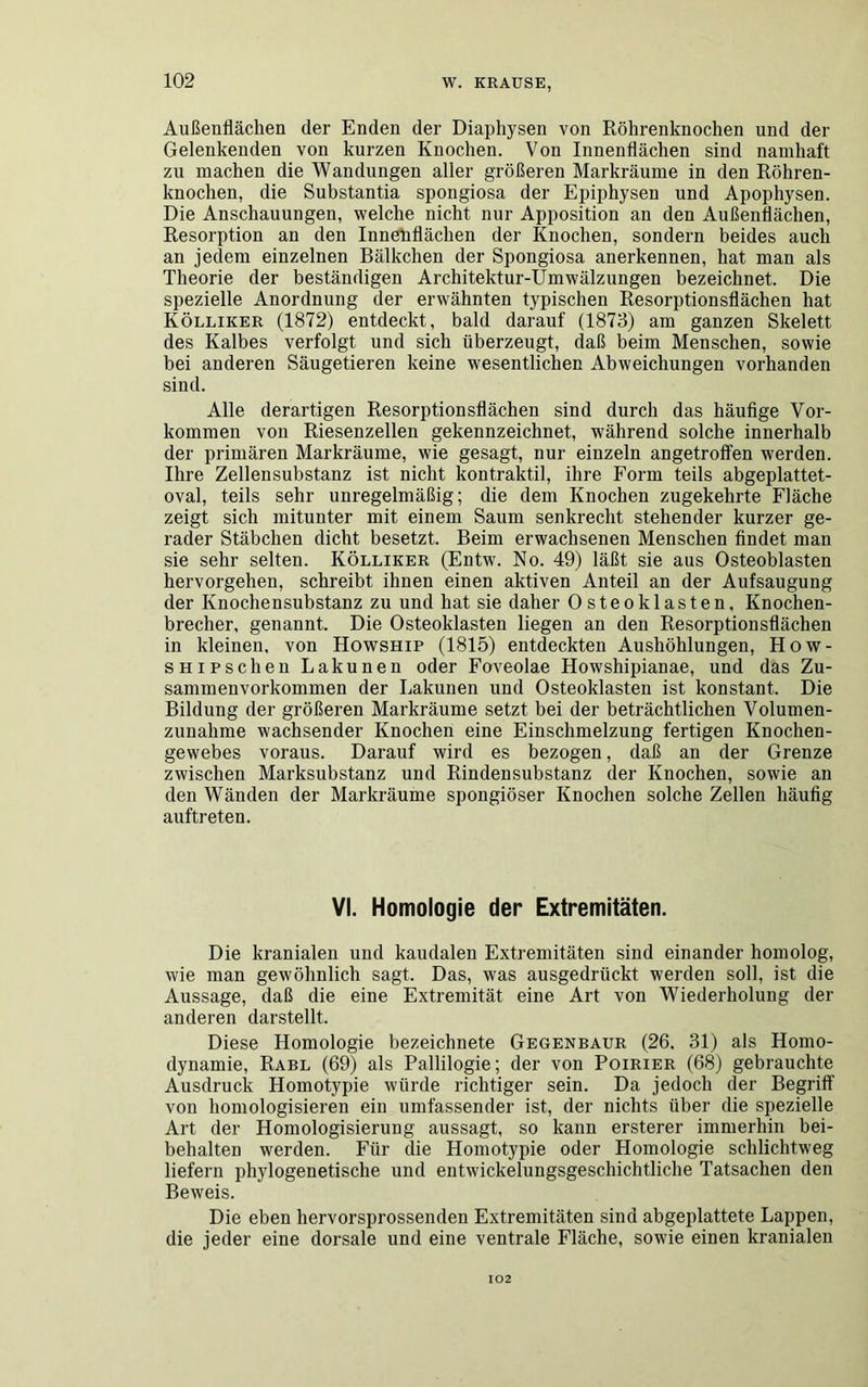 Außenflächen der Enden der Diaphysen von Röhrenknochen und der Gelenkenden von kurzen Knochen. Von Innenflächen sind namhaft zu machen die Wandungen aller größeren Markräume in den Röhren- knochen, die Substantia spongiosa der Epiphysen und Apophysen. Die Anschauungen, welche nicht nur Apposition an den Außenflächen, Resorption an den Innehfläclien der Knochen, sondern beides auch an jedem einzelnen Bälkchen der Spongiosa anerkennen, hat man als Theorie der beständigen Architektur-Umwälzungen bezeichnet. Die spezielle Anordnung der erwähnten typischen Resorptionsflächen hat Kölliker (1872) entdeckt, bald darauf (1873) am ganzen Skelett des Kalbes verfolgt und sich überzeugt, daß beim Menschen, sowie bei anderen Säugetieren keine wesentlichen Abweichungen vorhanden sind. Alle derartigen Resorptionsflächen sind durch das häufige Vor- kommen von Riesenzellen gekennzeichnet, während solche innerhalb der primären Markräume, wie gesagt, nur einzeln angetroffen werden. Ihre Zellensubstanz ist nicht kontraktil, ihre Form teils abgeplattet- oval, teils sehr unregelmäßig; die dem Knochen zugekehrte Fläche zeigt sich mitunter mit einem Saum senkrecht stehender kurzer ge- rader Stäbchen dicht besetzt. Beim erwachsenen Menschen findet man sie sehr selten. Kölliker (Entw. No. 49) läßt sie aus Osteoblasten hervorgehen, schreibt ihnen einen aktiven Anteil an der Aufsaugung der Knochensubstanz zu und hat sie daher Osteoklasten, Knochen- brecher, genannt. Die Osteoklasten liegen an den Resorptionsflächen in kleinen, von Howship (1815) entdeckten Aushöhlungen, How- SHiPschen Lakunen oder Foveolae Howshipianae, und das Zu- sammenvorkommen der Lakunen und Osteoklasten ist konstant. Die Bildung der größeren Markräume setzt bei der beträchtlichen Volumen- zunahme wachsender Knochen eine Einschmelzung fertigen Knochen- gewebes voraus. Darauf wird es bezogen, daß an der Grenze zwischen Marksubstanz und Rindensubstanz der Knochen, sowie an den Wänden der Markräume spongiöser Knochen solche Zellen häufig auftreten. VI. Homologie der Extremitäten. Die kranialen und kaudalen Extremitäten sind einander homolog, wie man gewöhnlich sagt. Das, was ausgedrückt werden soll, ist die Aussage, daß die eine Extremität eine Art von Wiederholung der anderen darstellt. Diese Homologie bezeichnete Gegenbaur (26. 31) als Homo- dynamie, Rabl (69) als Pallilogie; der von Poirier (68) gebrauchte Ausdruck Homotypie würde richtiger sein. Da jedoch der Begriff von homologisieren ein umfassender ist, der nichts über die spezielle Art der Homologisierung aussagt, so kann ersterer immerhin bei- behalten werden. Für die Homotypie oder Homologie schlichtweg liefern phylogenetische und entwickelungsgeschichtliche Tatsachen den Beweis. Die eben hervorsprossenden Extremitäten sind abgeplattete Lappen, die jeder eine dorsale und eine ventrale Fläche, sowie einen kranialen 102